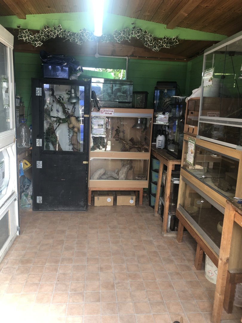 C&J’s animal park - Reptile house