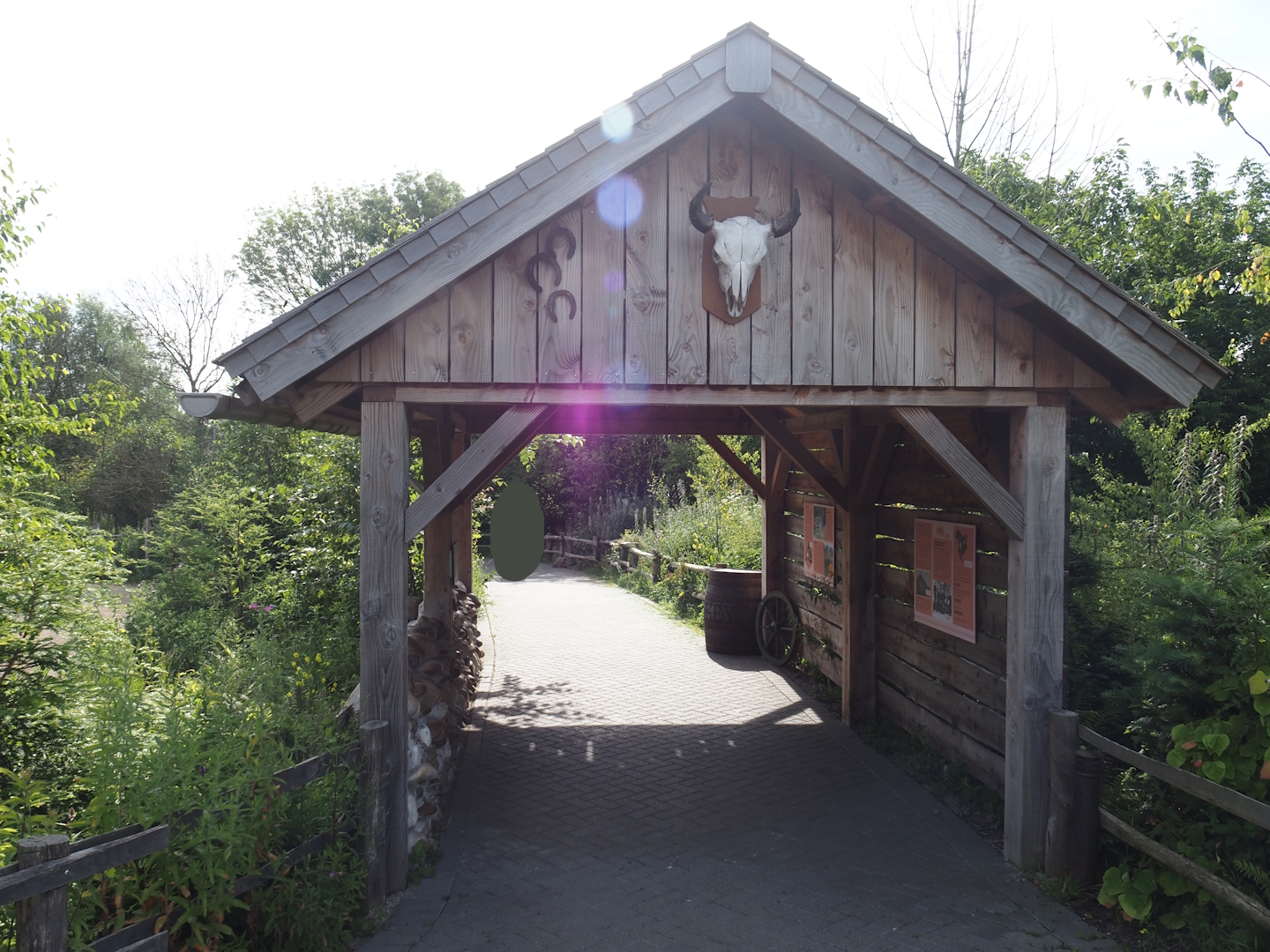 Cabin with educational materials about American Plains bison conservation, 2024-06-30