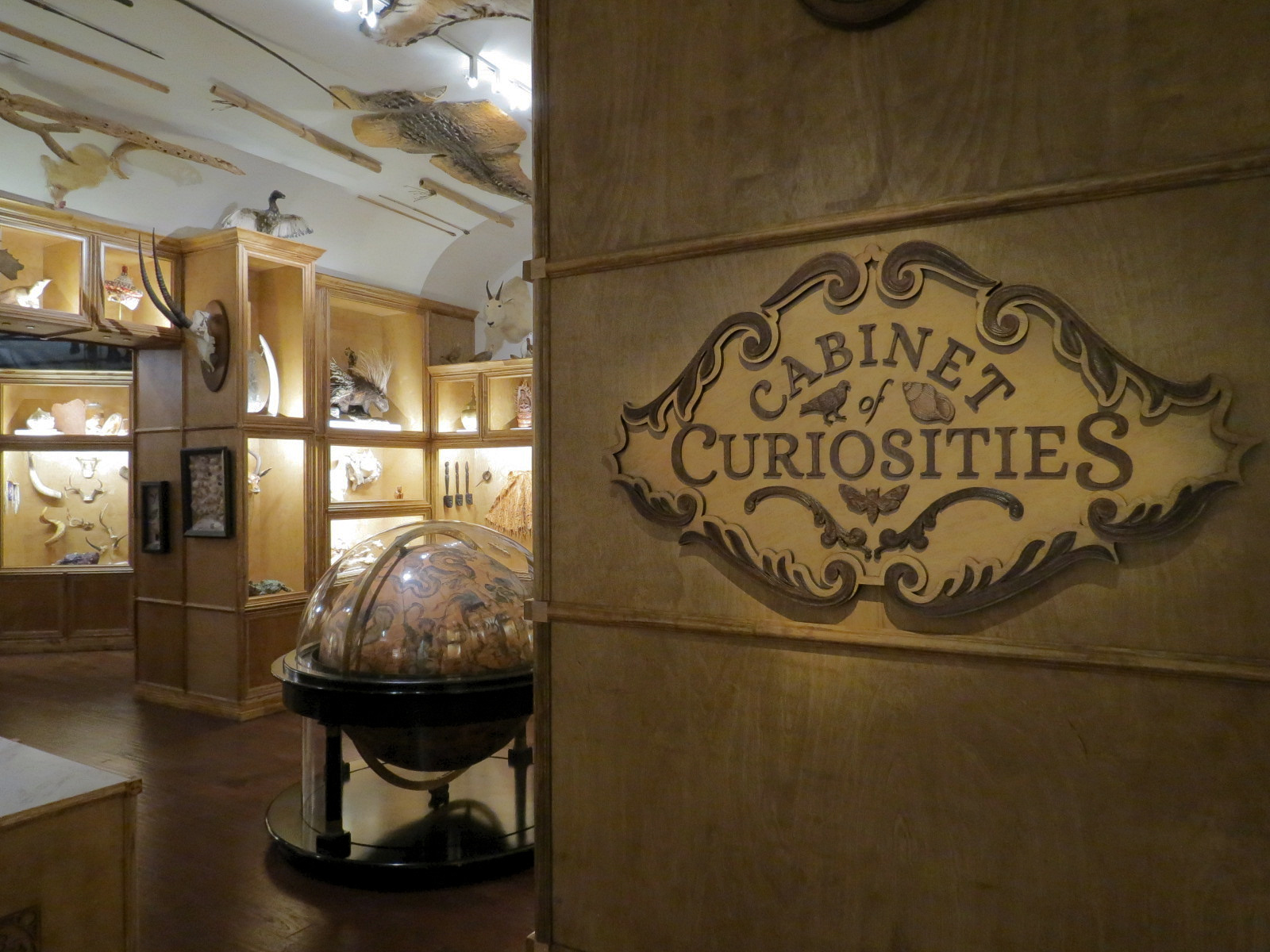 Cabinet Of Curiosities