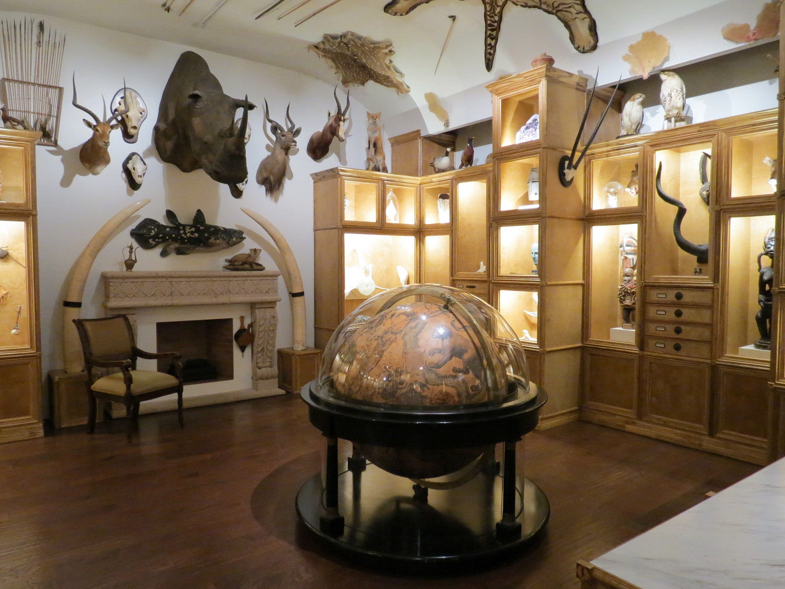 Cabinet Of Curiosities