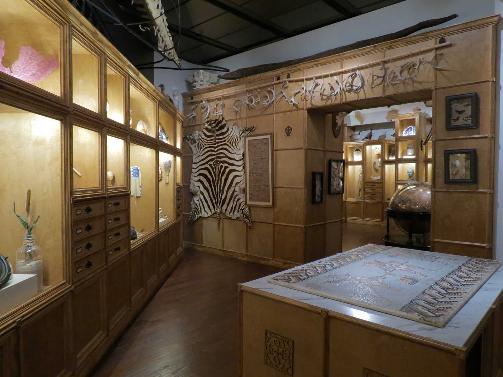 Cabinet Of Curiosities