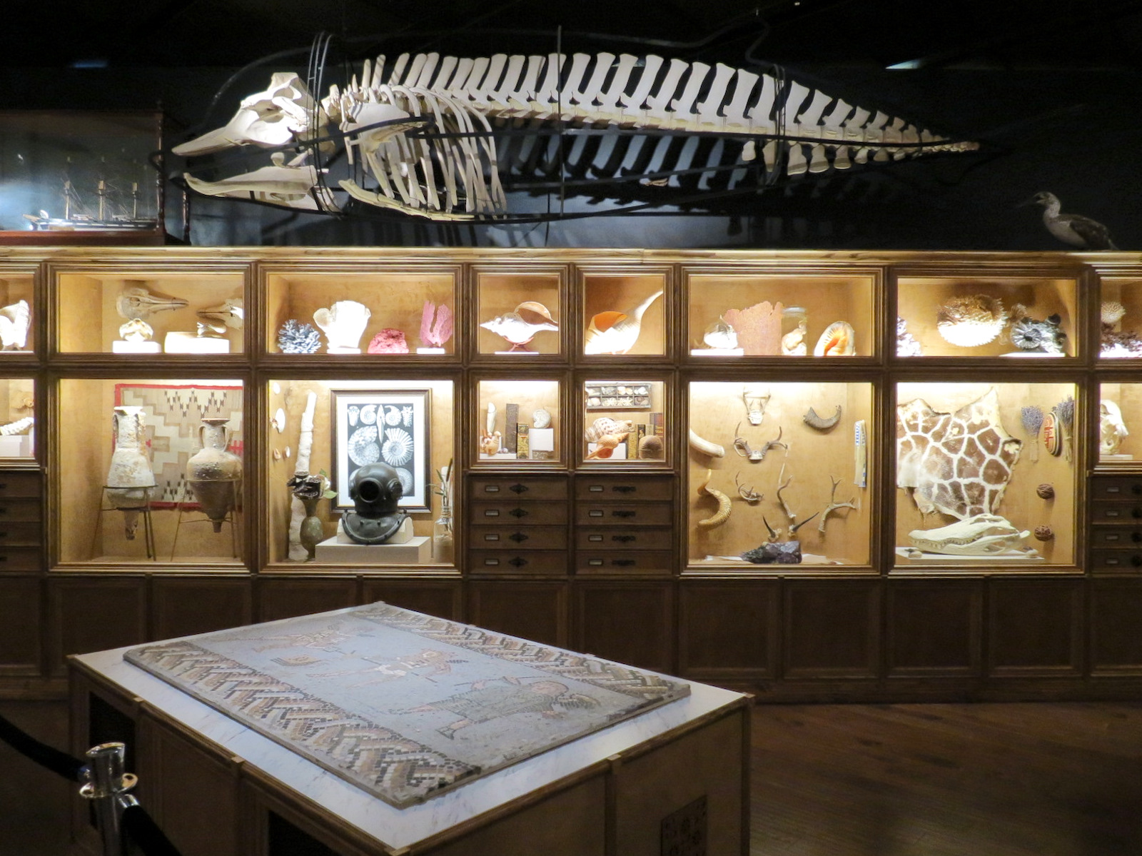 Cabinet Of Curiosities