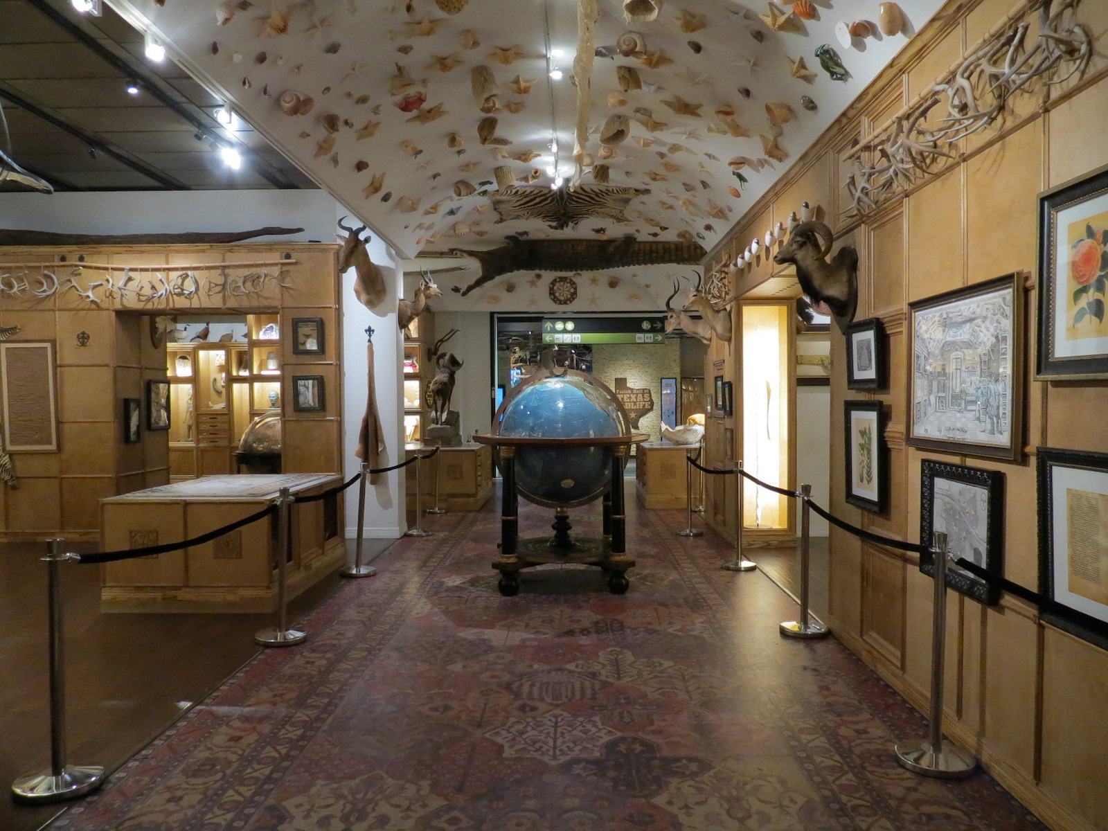 Cabinet Of Curiosities