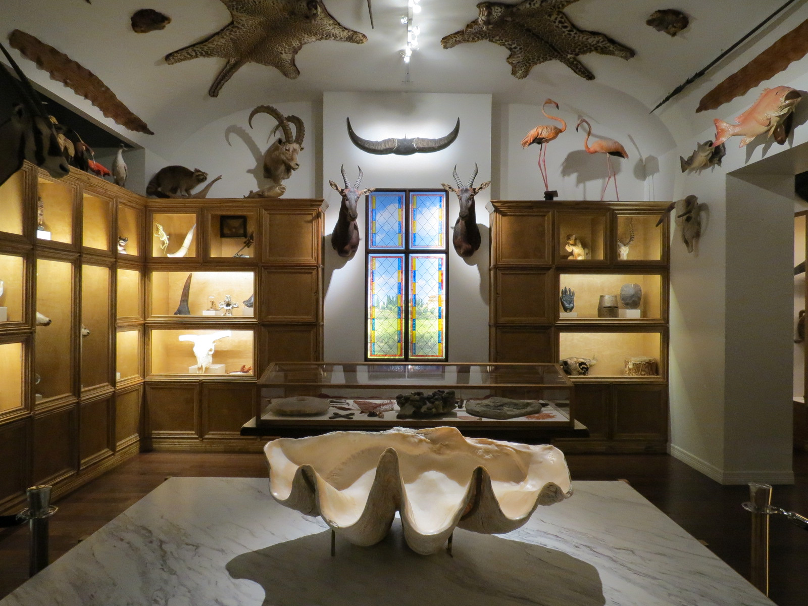 Cabinet Of Curiosities