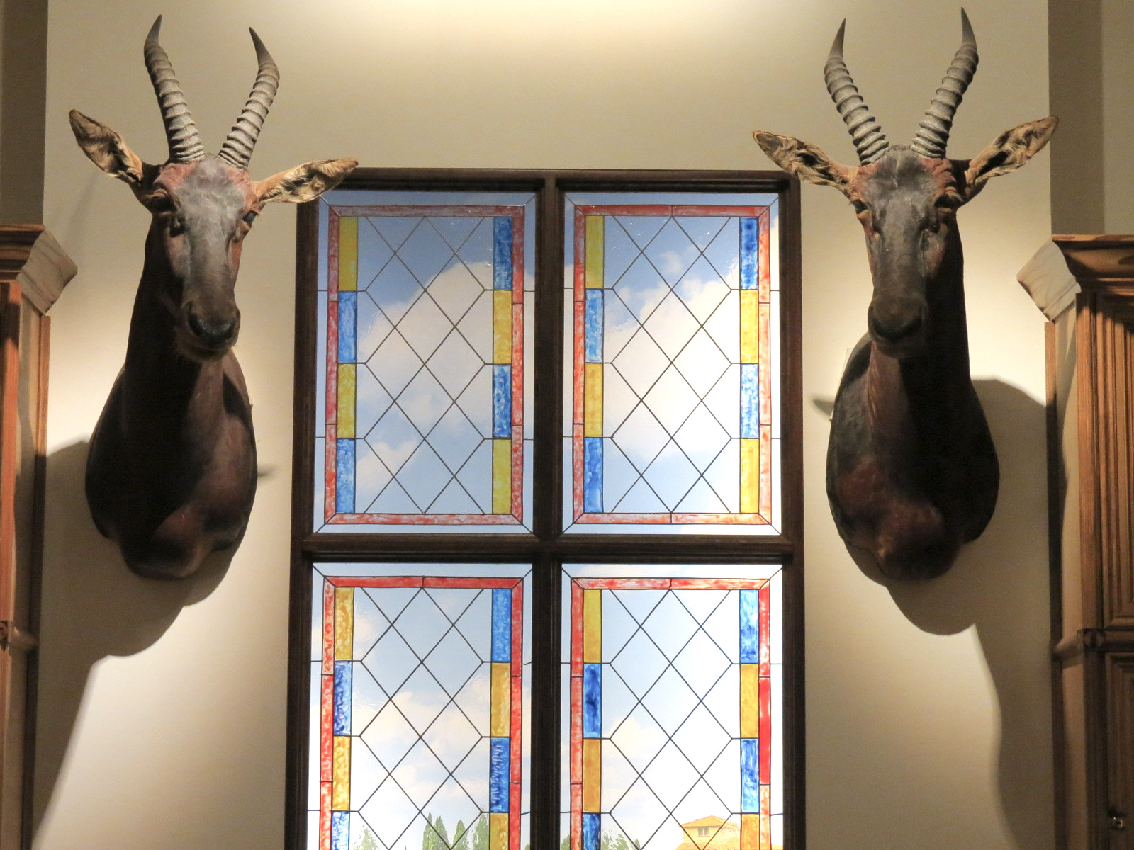 Cabinet Of Curiosities