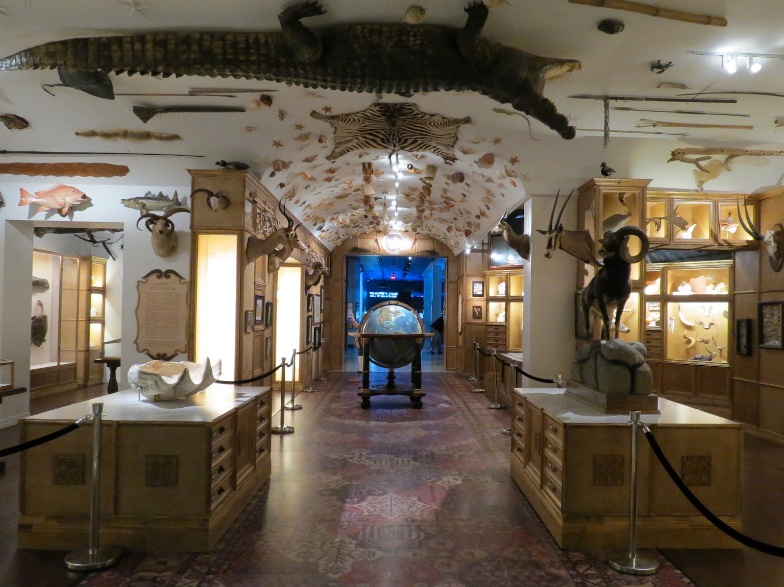 Cabinet Of Curiosities