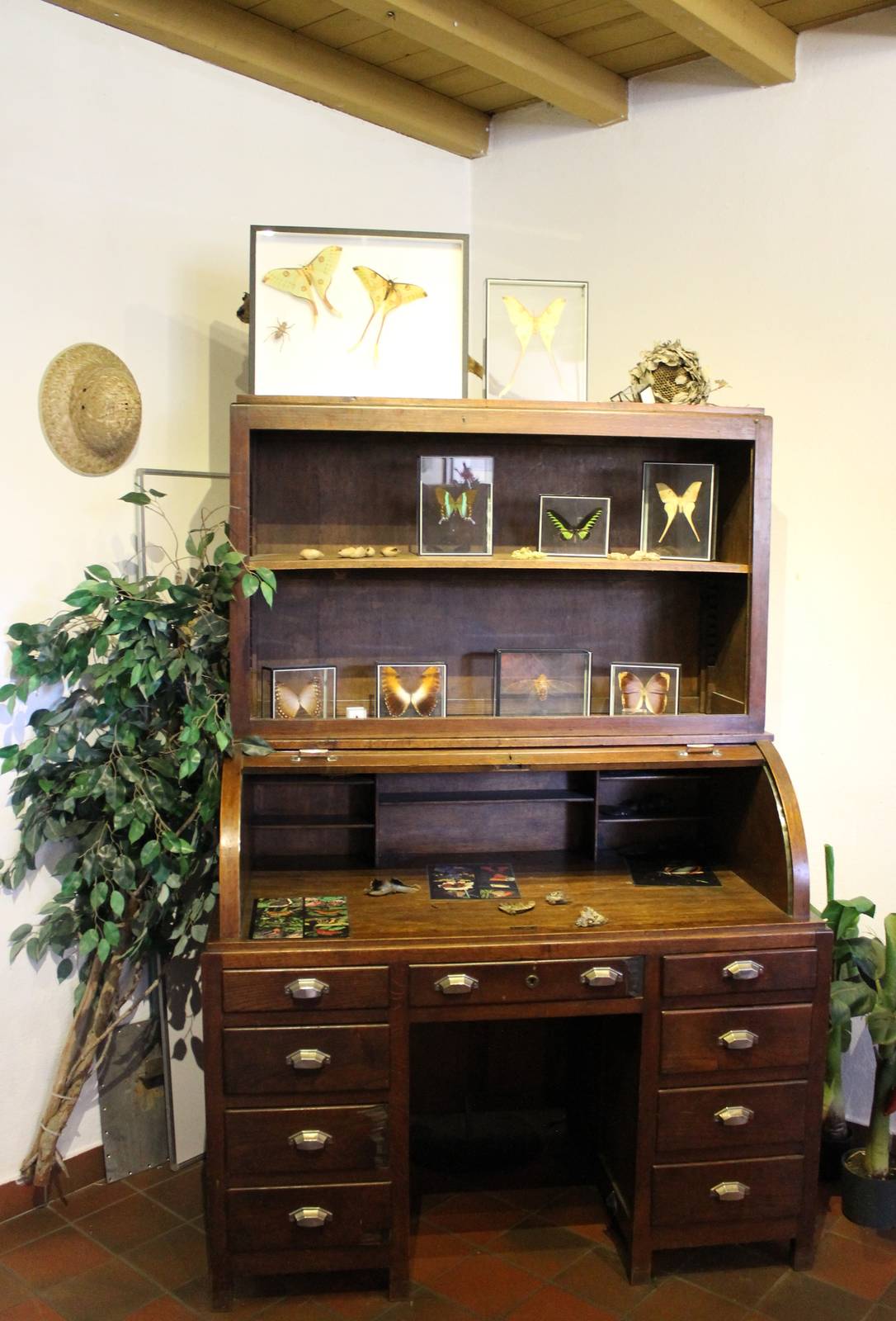 Cabinet with butterflies