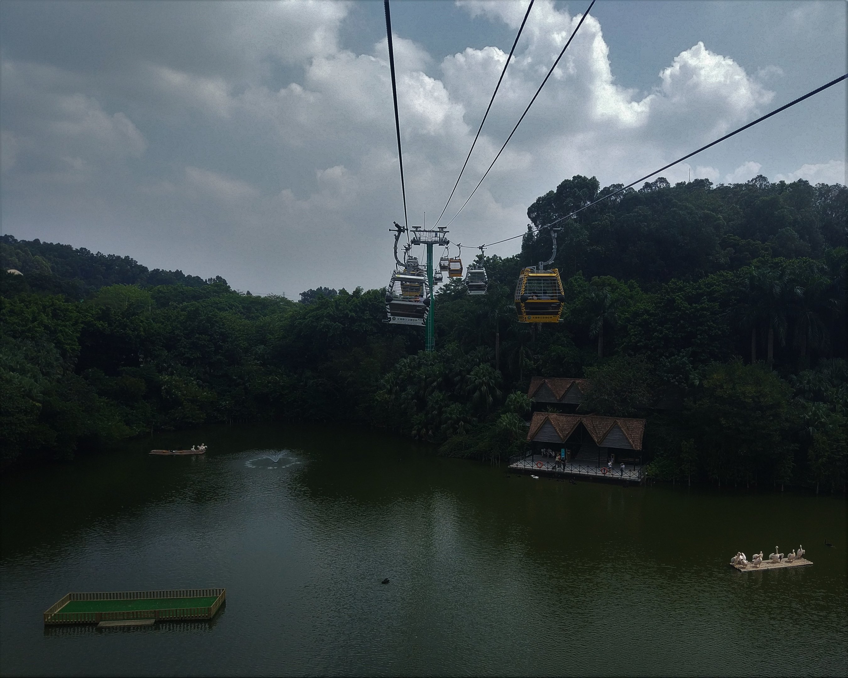 Cable Car over Lake, with Pelicans