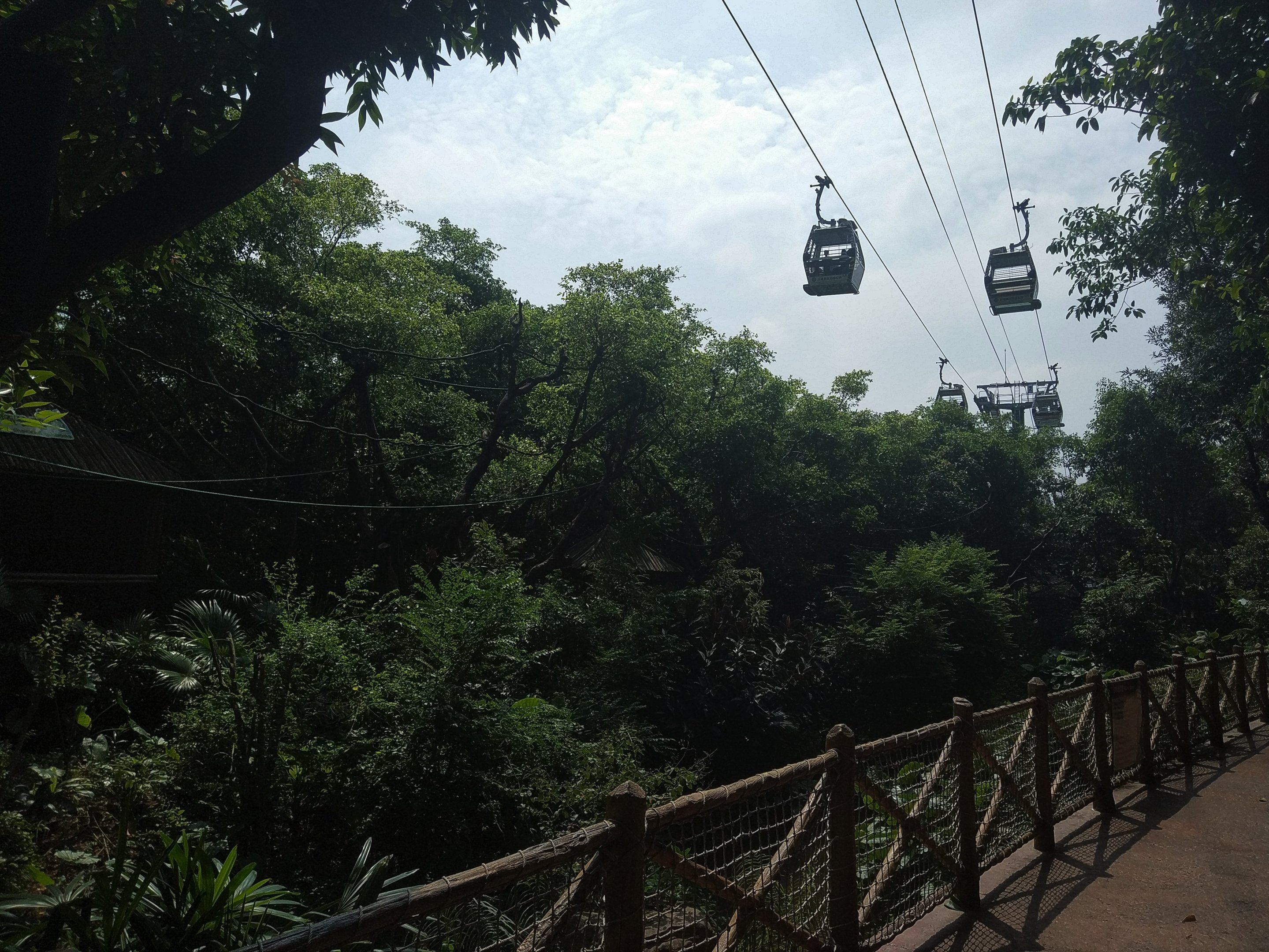 Cable Car Passing Primate Exhibit