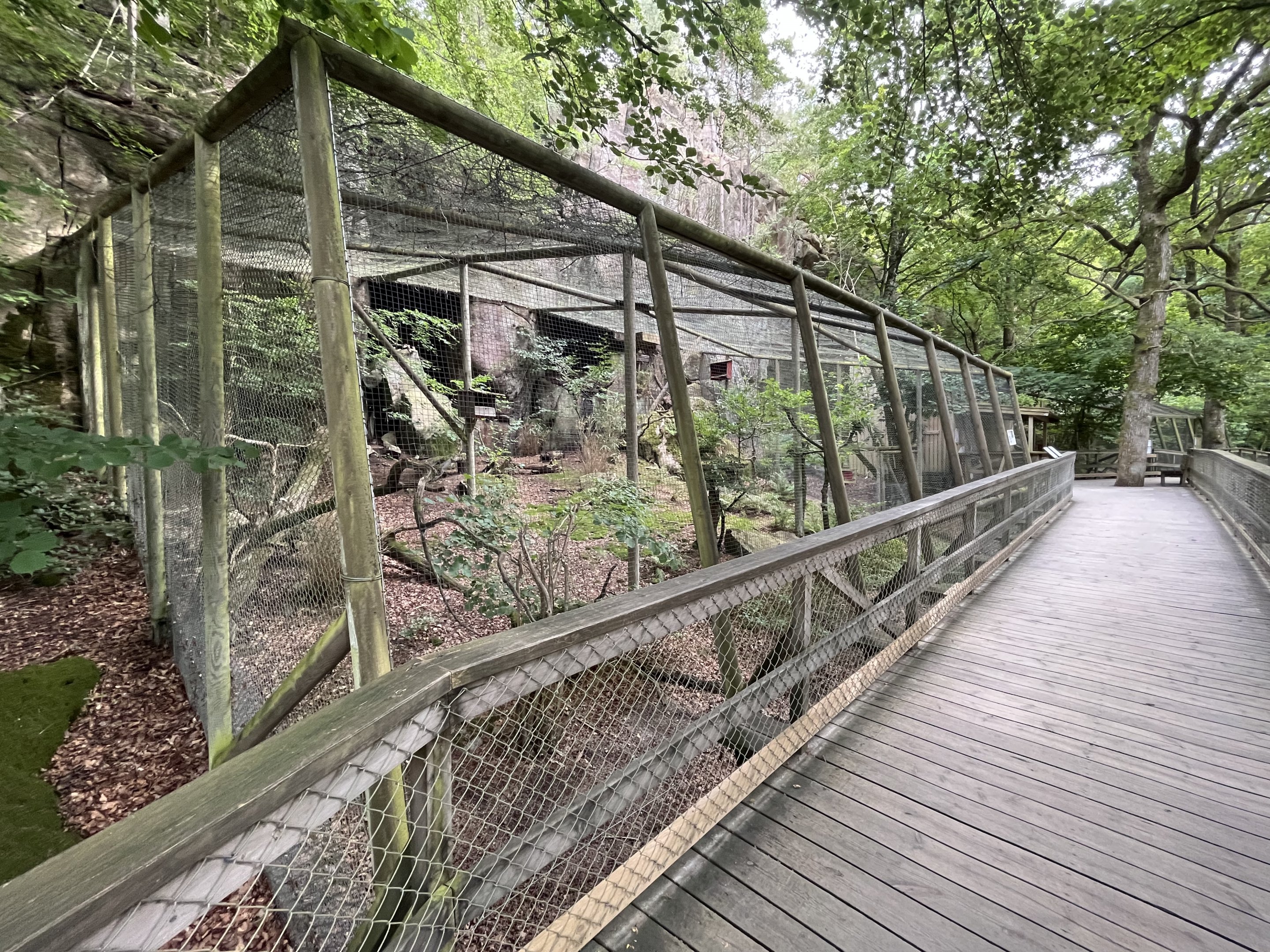 Cabot’s Tragopan Aviary