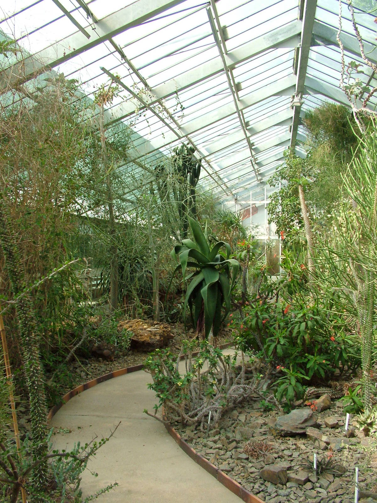 Cactus and Reptile House at Plzen, 25/05/10