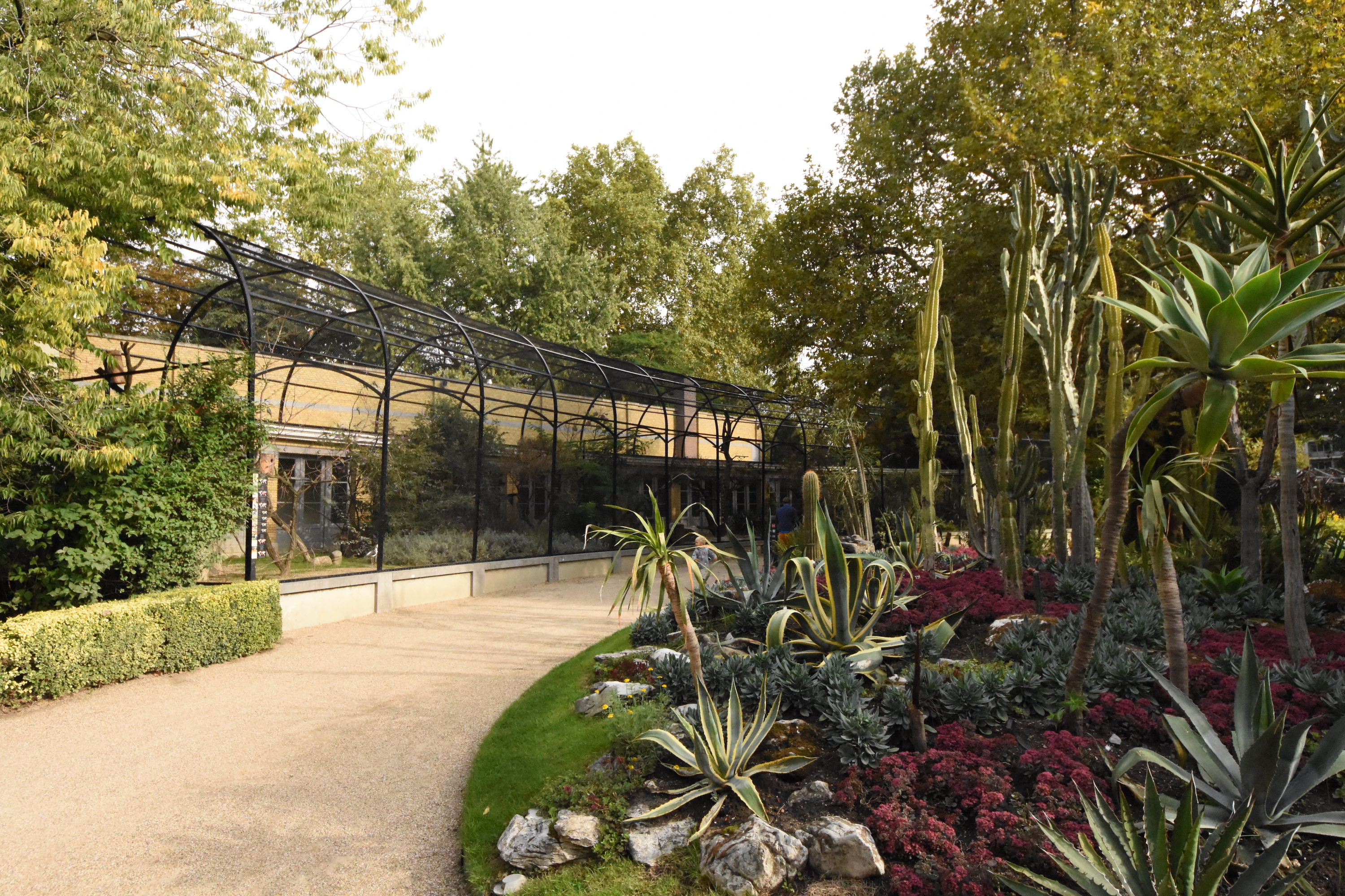 Cactus garden & Bird house