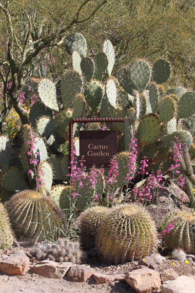 cactus garden entry