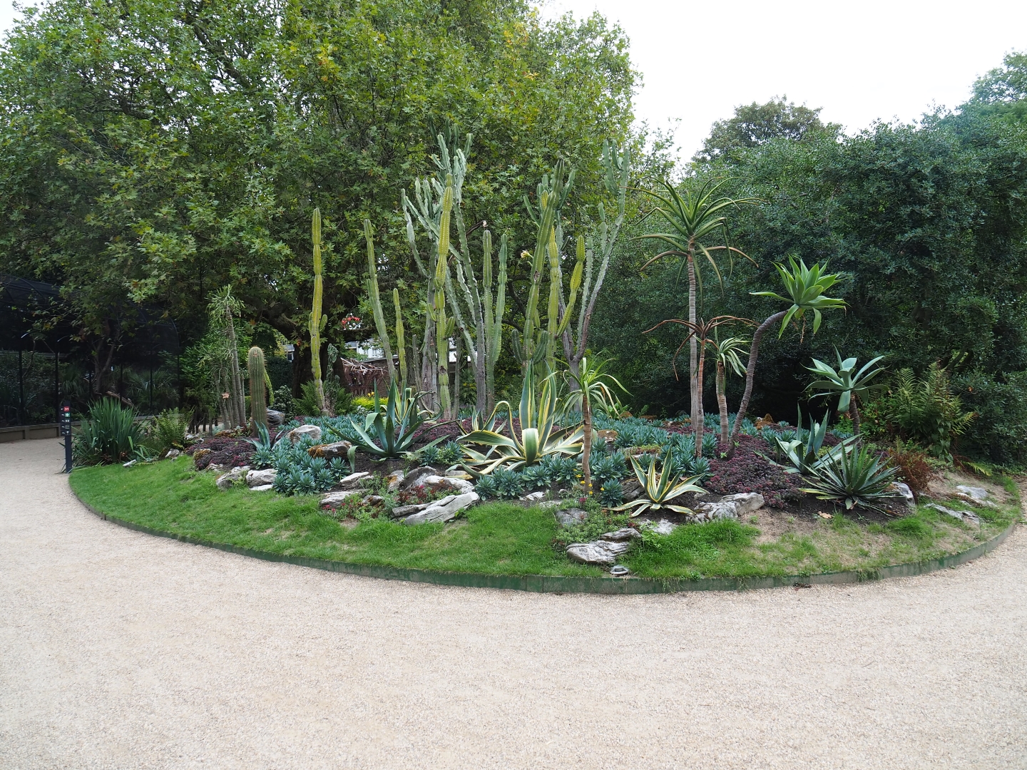 Cactus garden near the Bird House