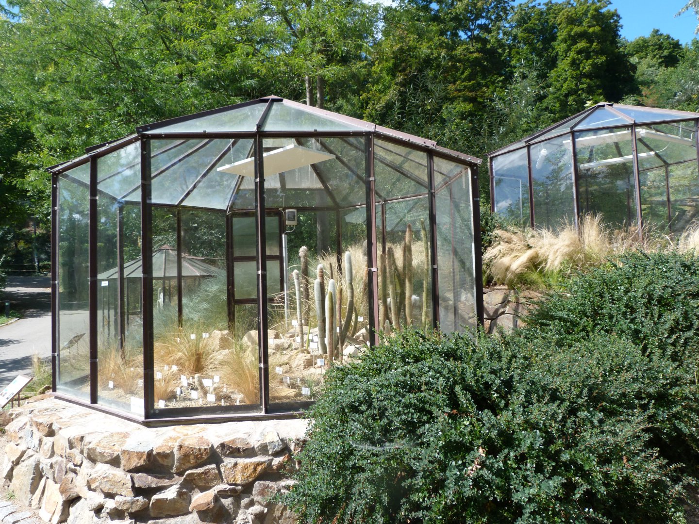 Cactus garden -Zoo Plzeň (2025)