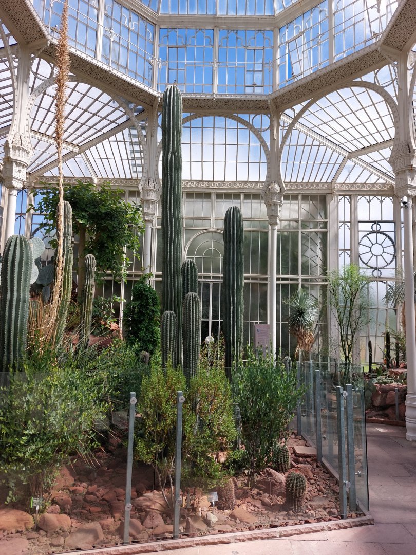 Cactus greenhouse