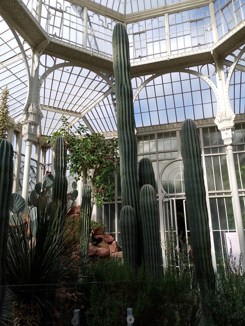 Cactus greenhouse