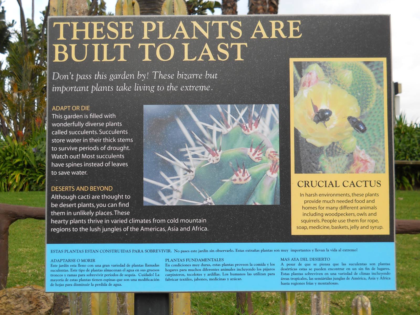 cactus_garden_sign_SB_Zoo