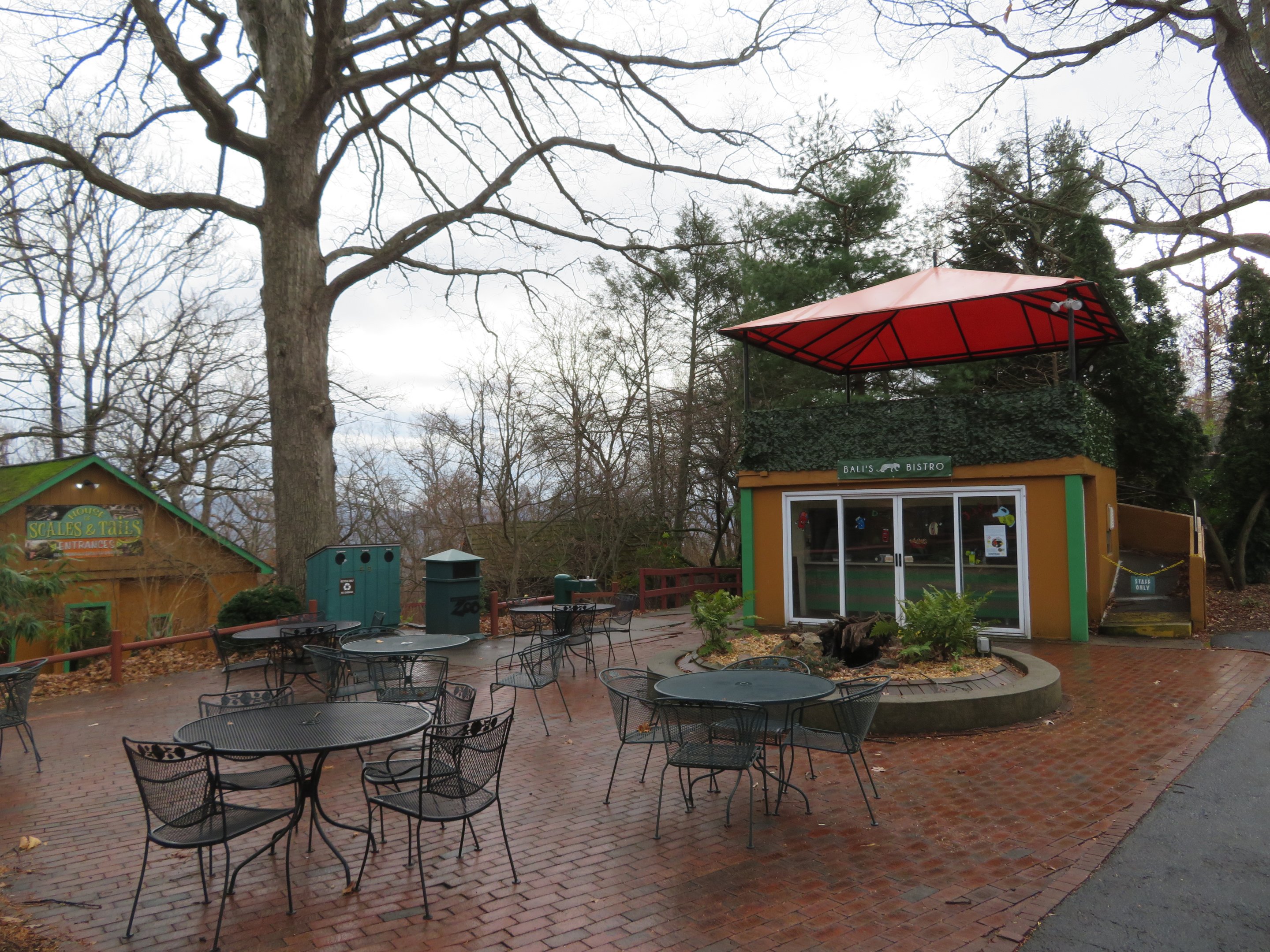 Cafe and Eating Plaza