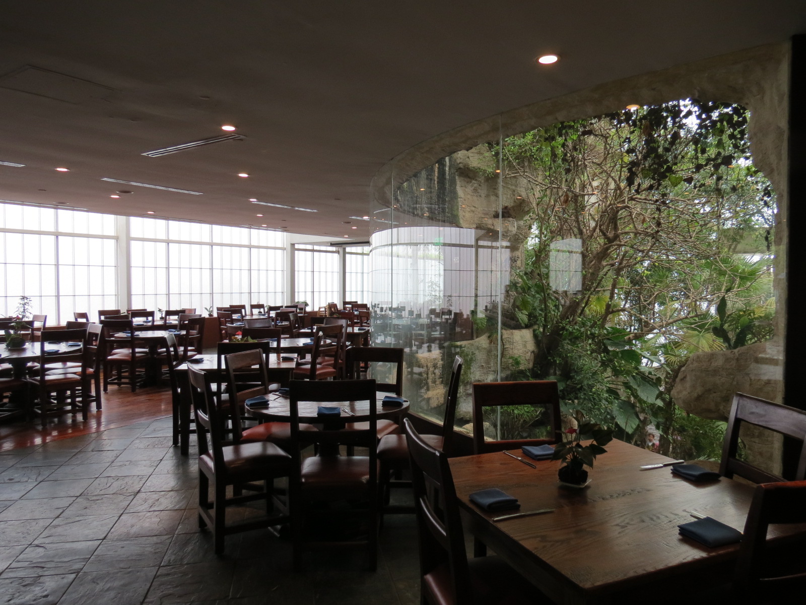 Cafe Maya - Interior