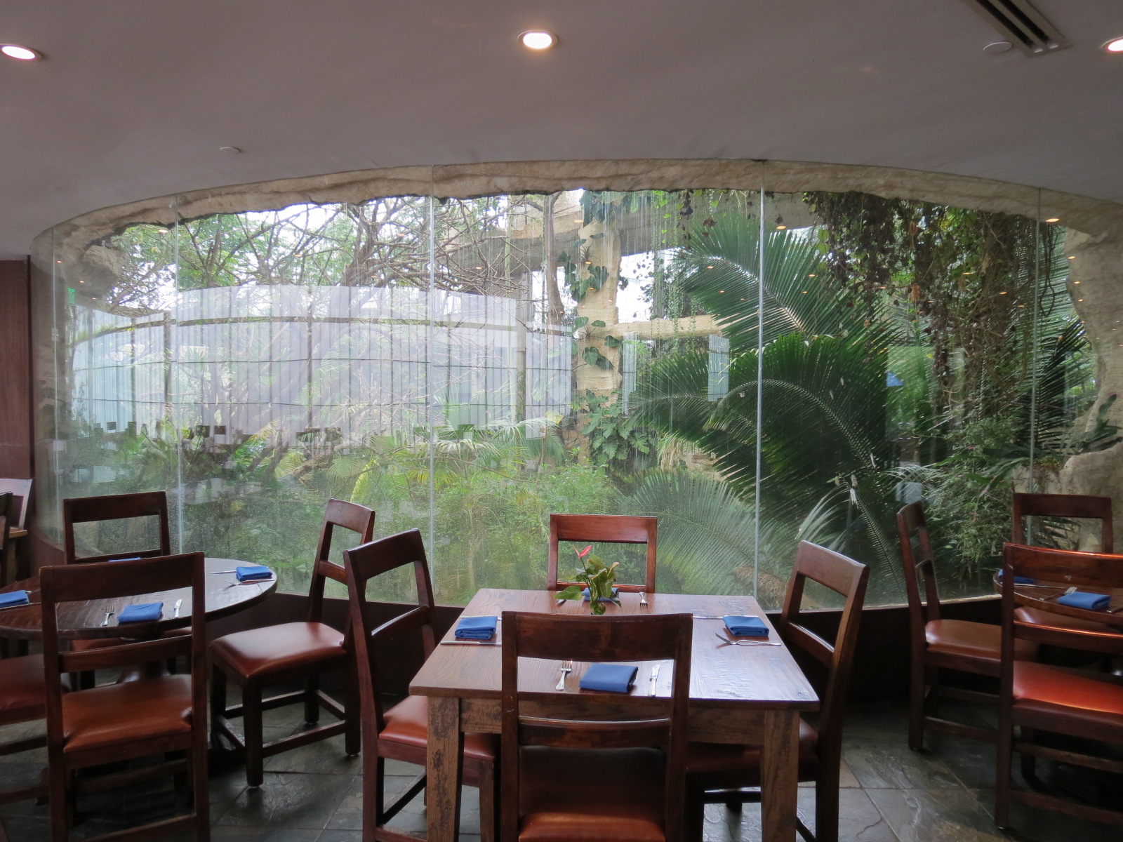 Cafe Maya - View of Mundo Maya Exhibit Complex