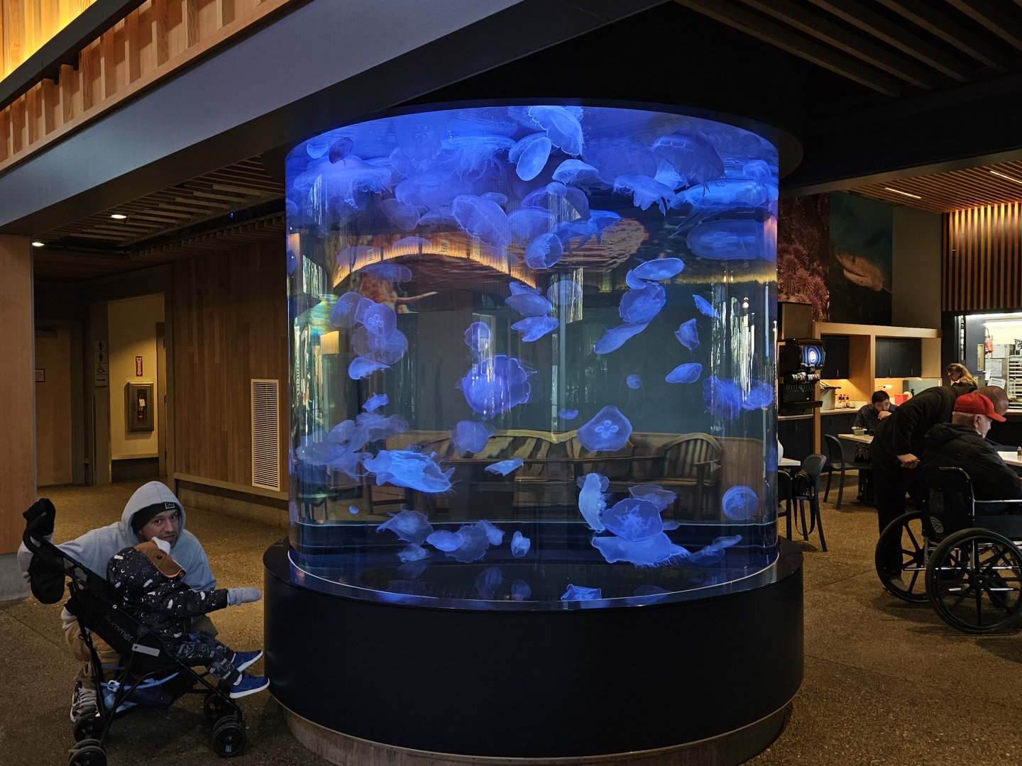 Café Moon Jelly Tank