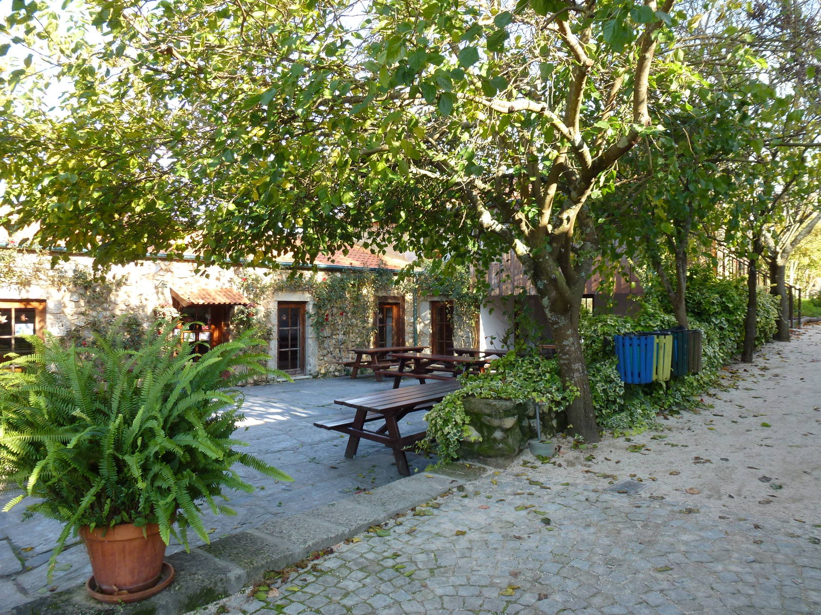 Cafe, November 2013.