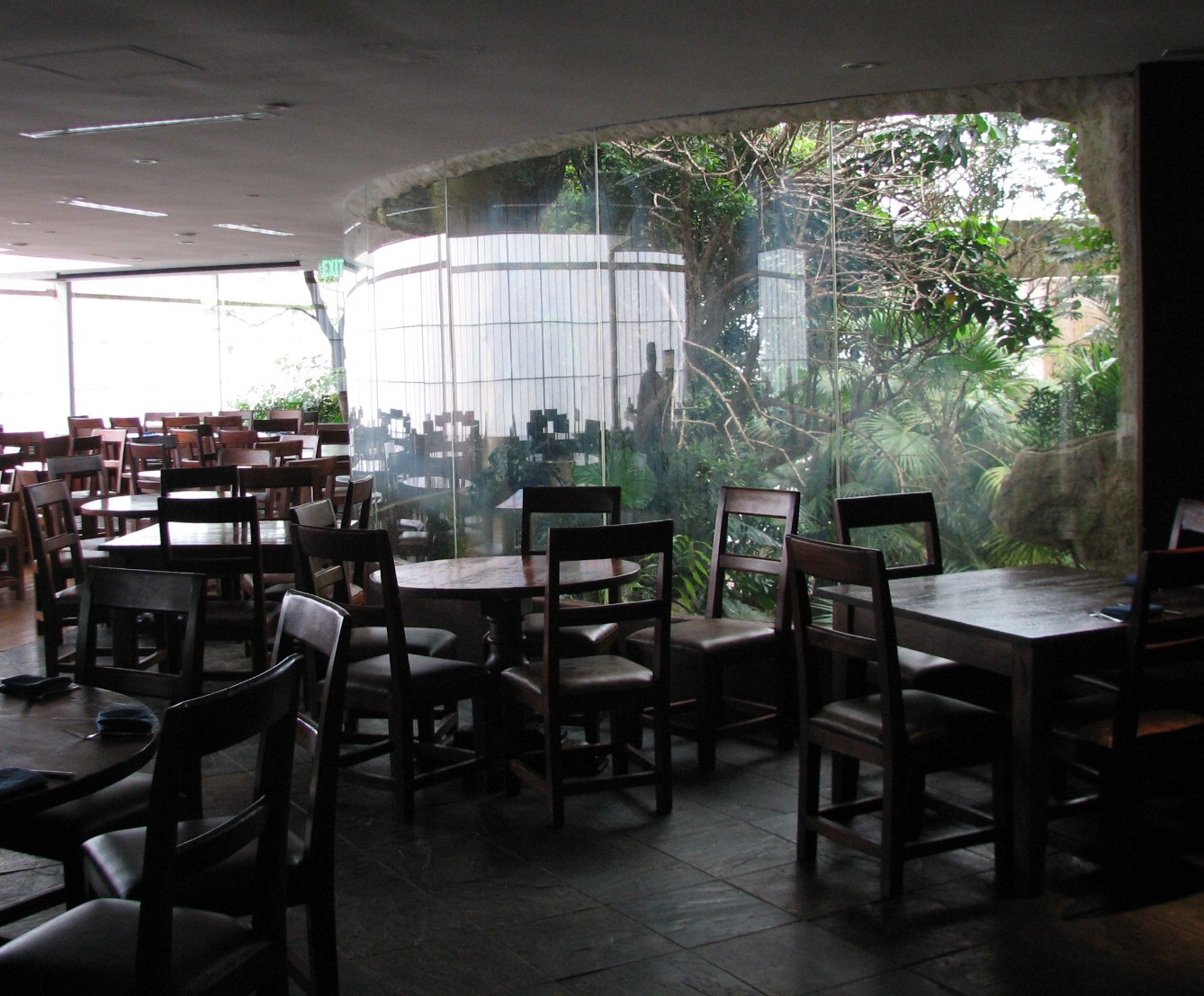 Cafe Overlooking Mundo Maya Exhibit