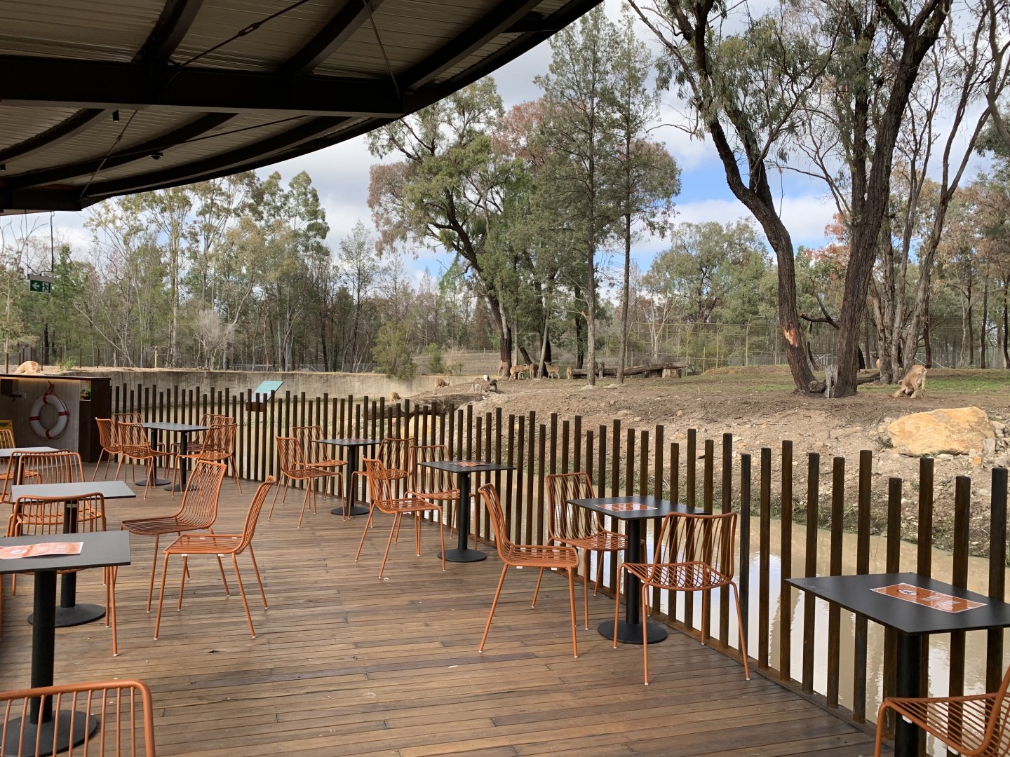 Cafe Seating- Barbary Sheep Exhibit