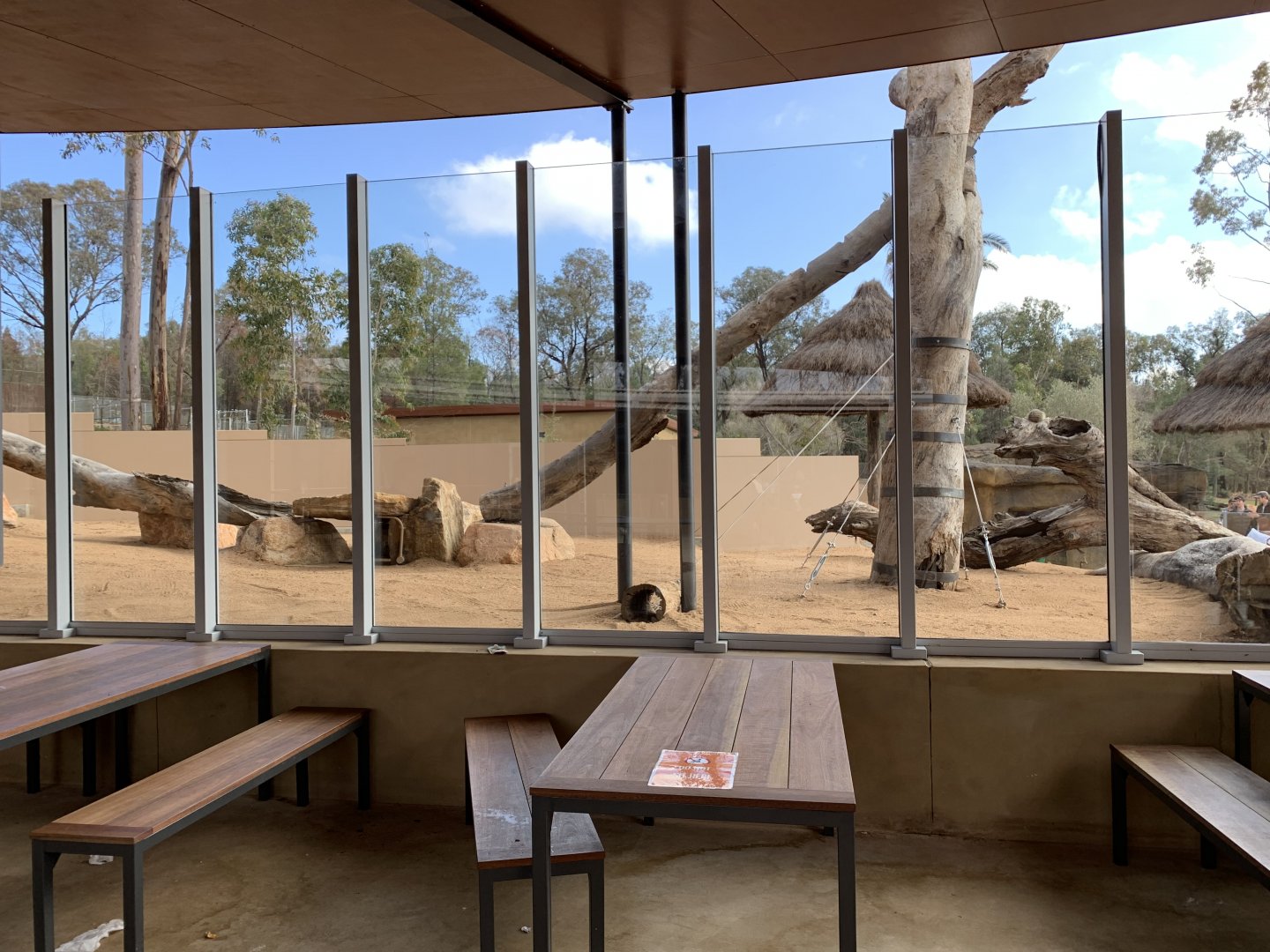 Cafe Seating- Meerkat Exhibit