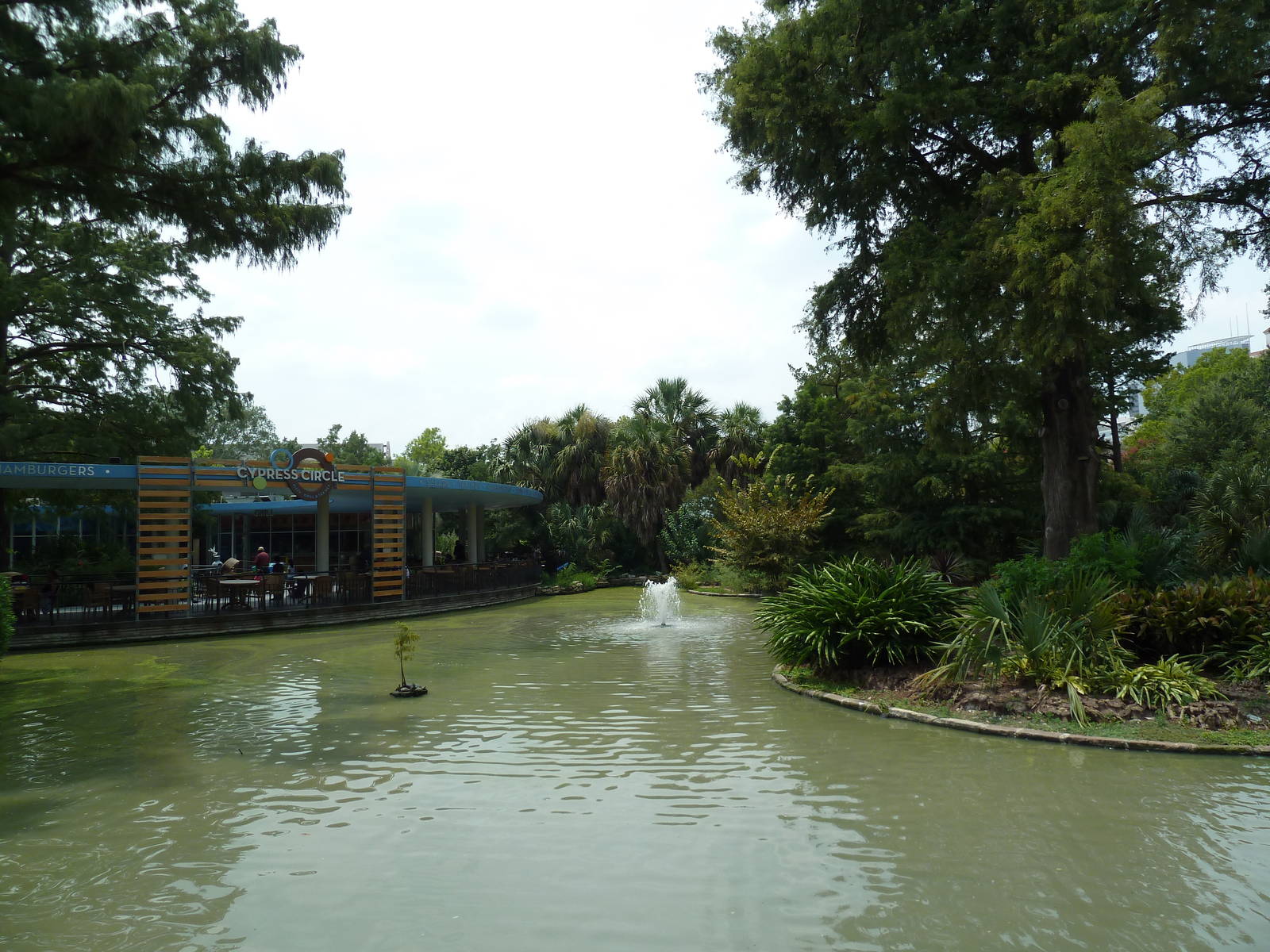 Cafe + Waterfowl Lake