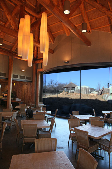 Cafe with lion viewing