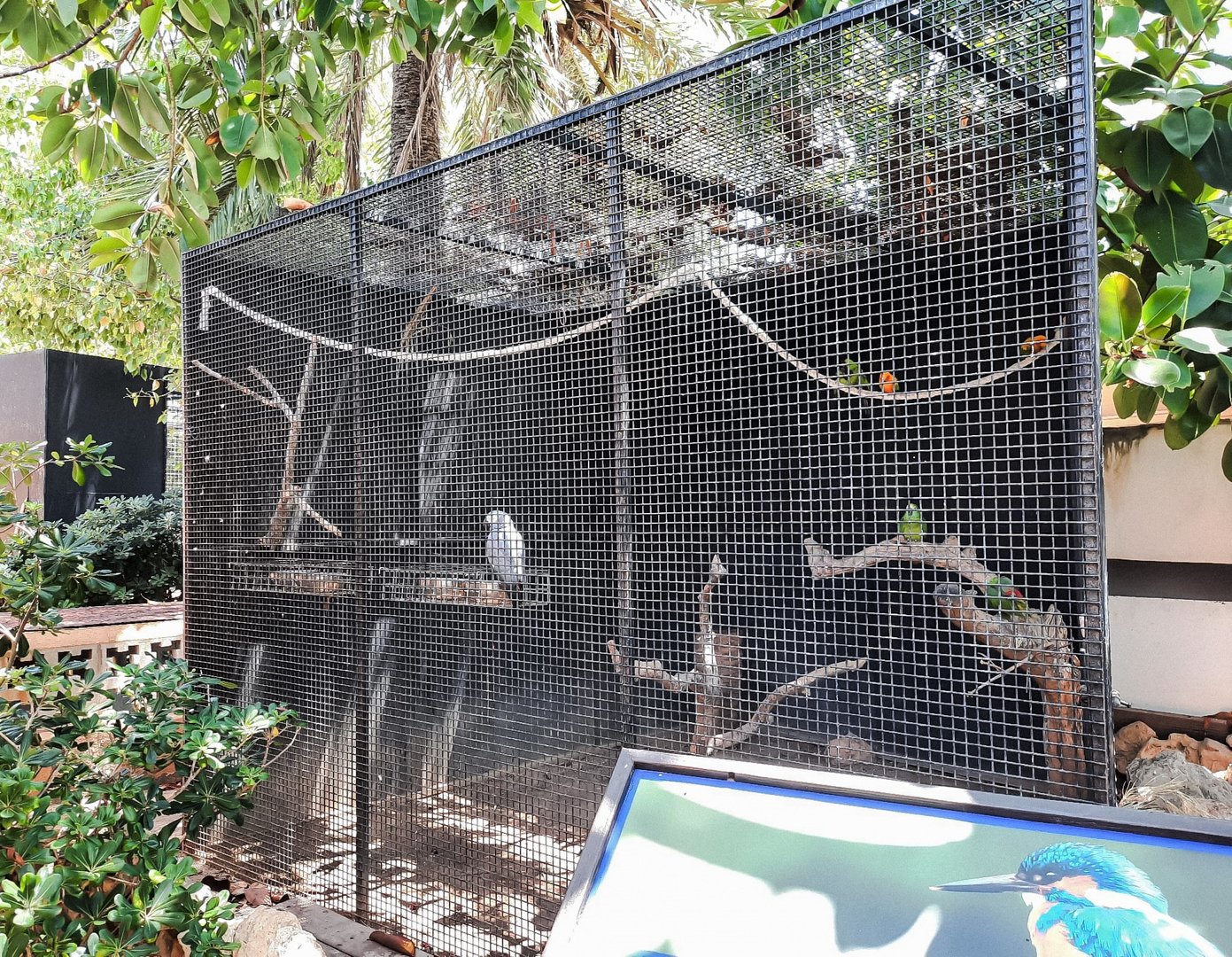 Cage for abandoned birds