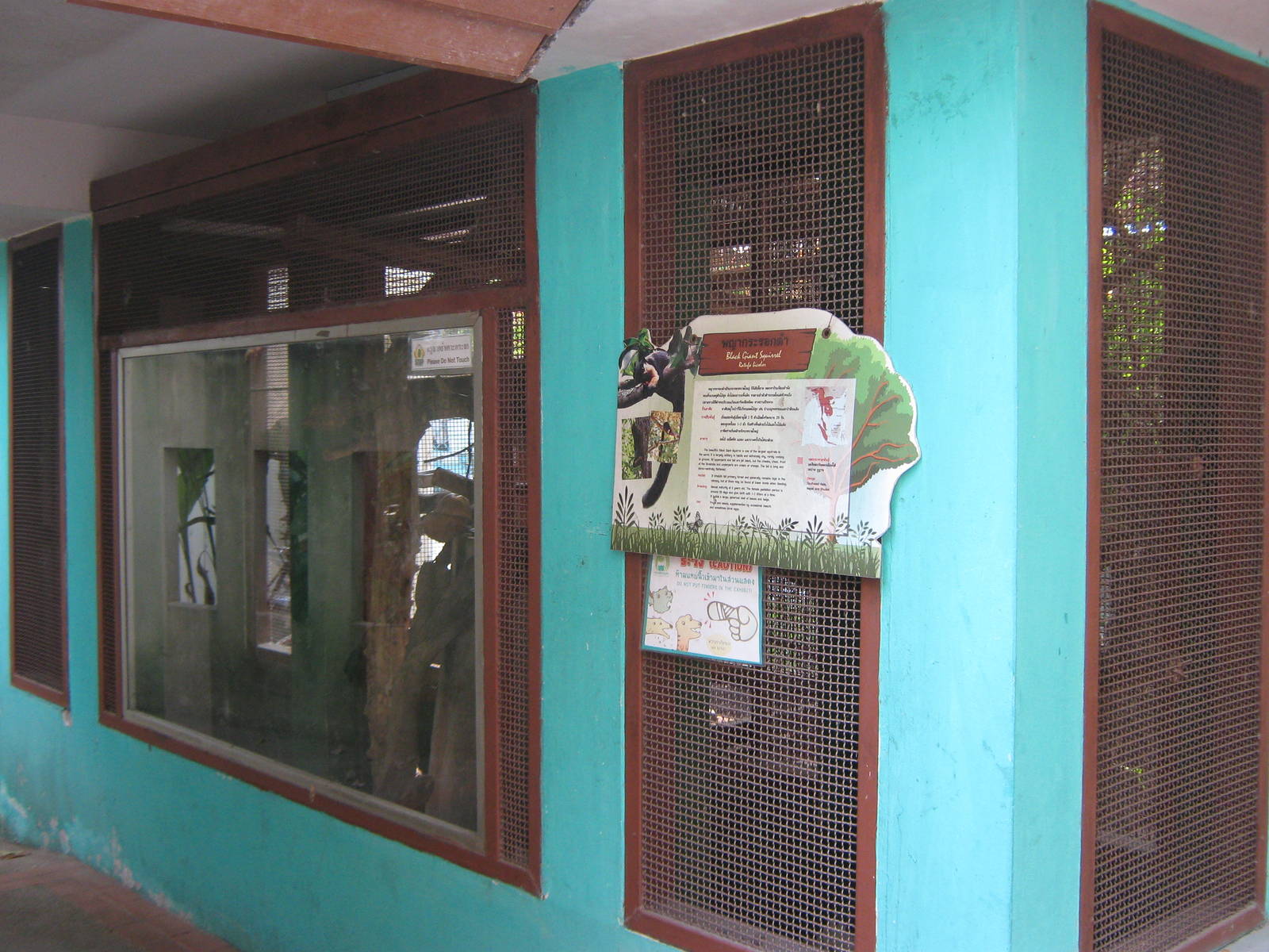 cage for bicoloured giant squirrel (Ratufa bicolor)
