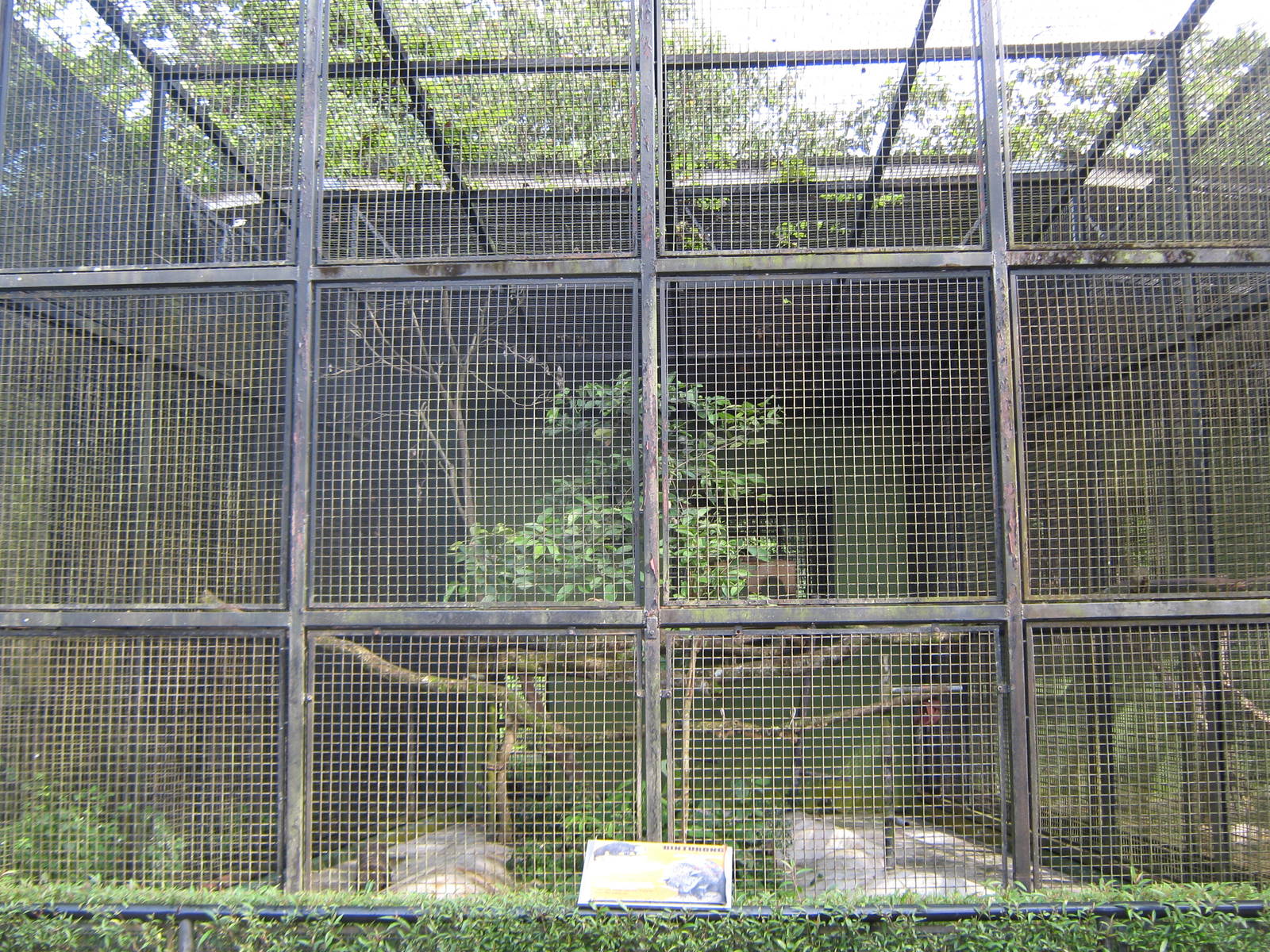cage for binturongs (Arctictis binturong)