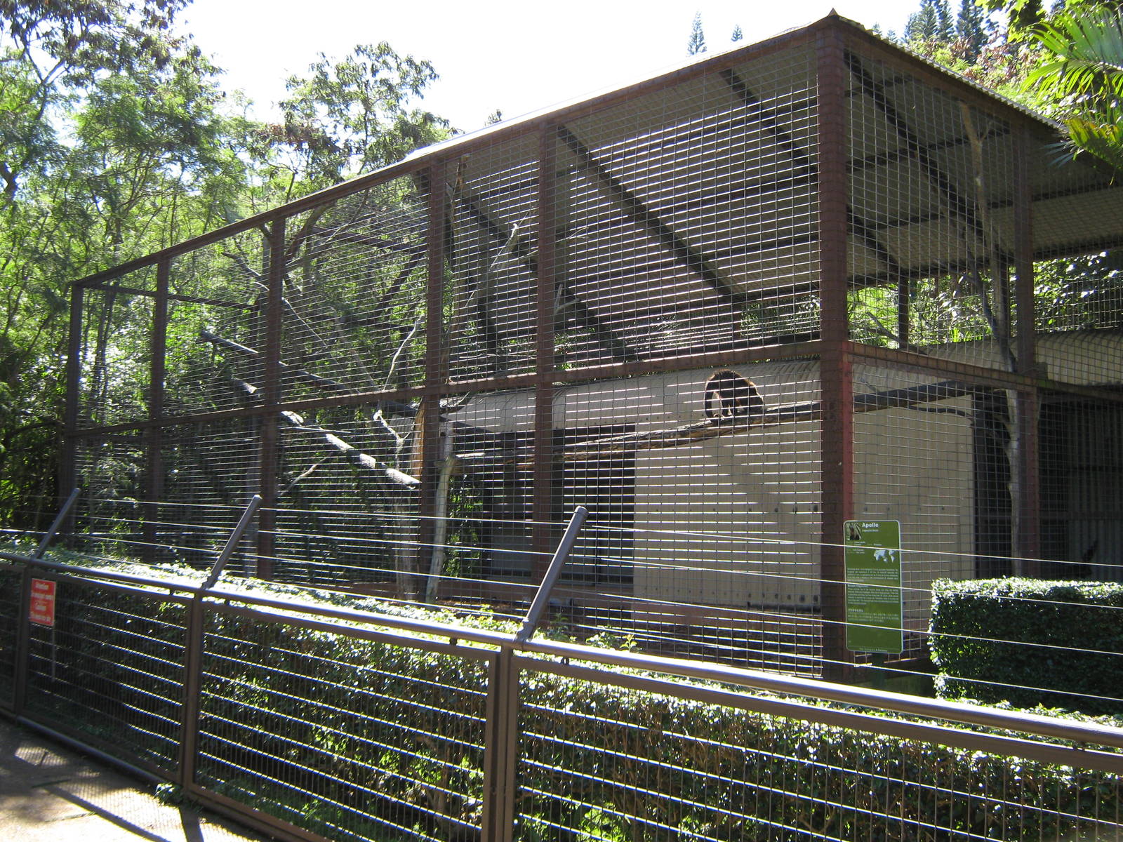 cage for black-capped capuchins