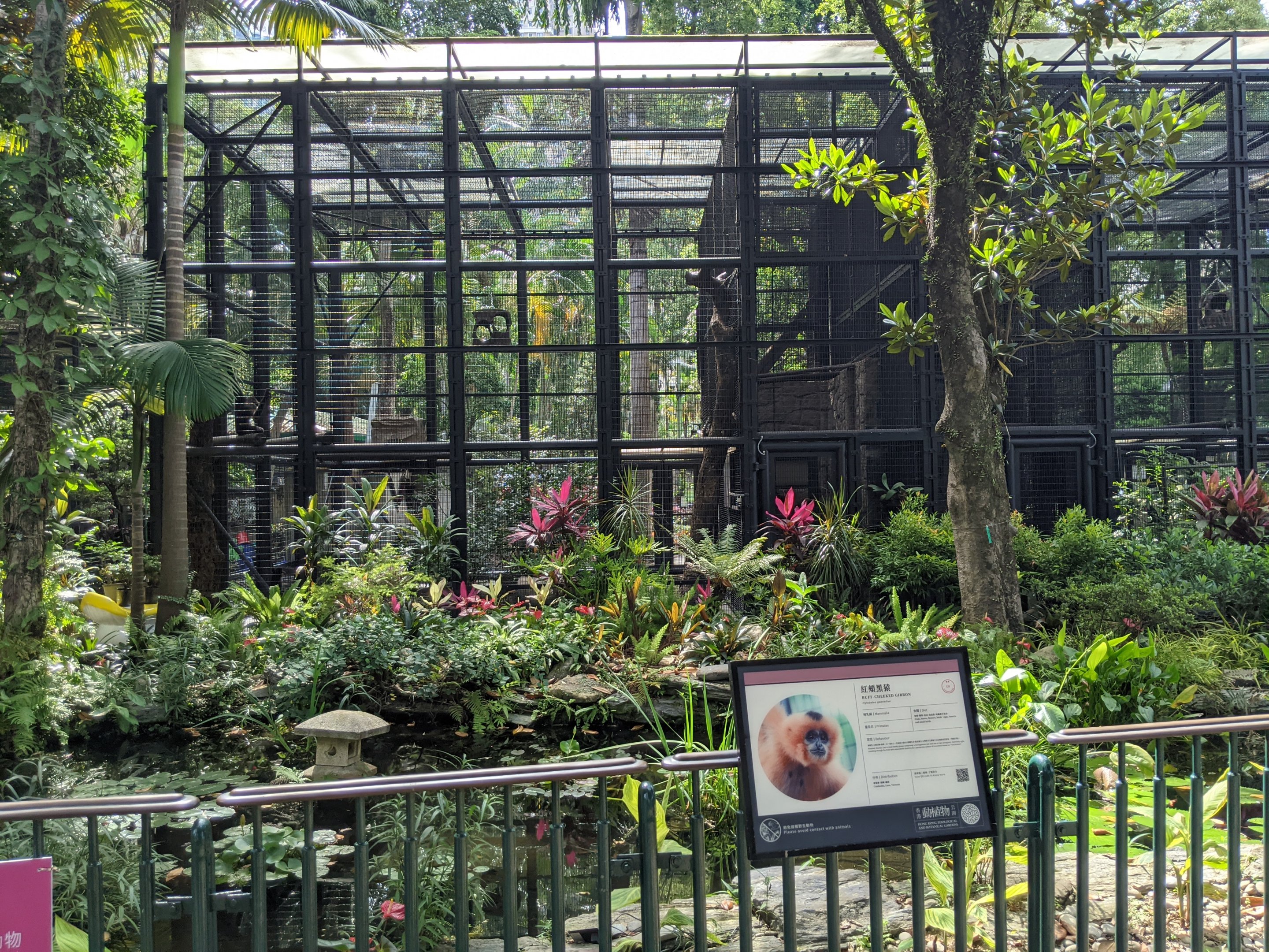 Cage for Buff-cheeked Gibbons (Nomascus gabriellae)