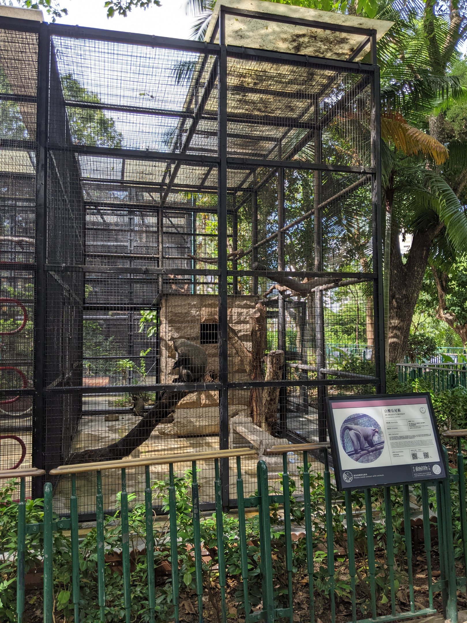 Cage for De Brazza's Monkey (Cercopithecus neglectus)