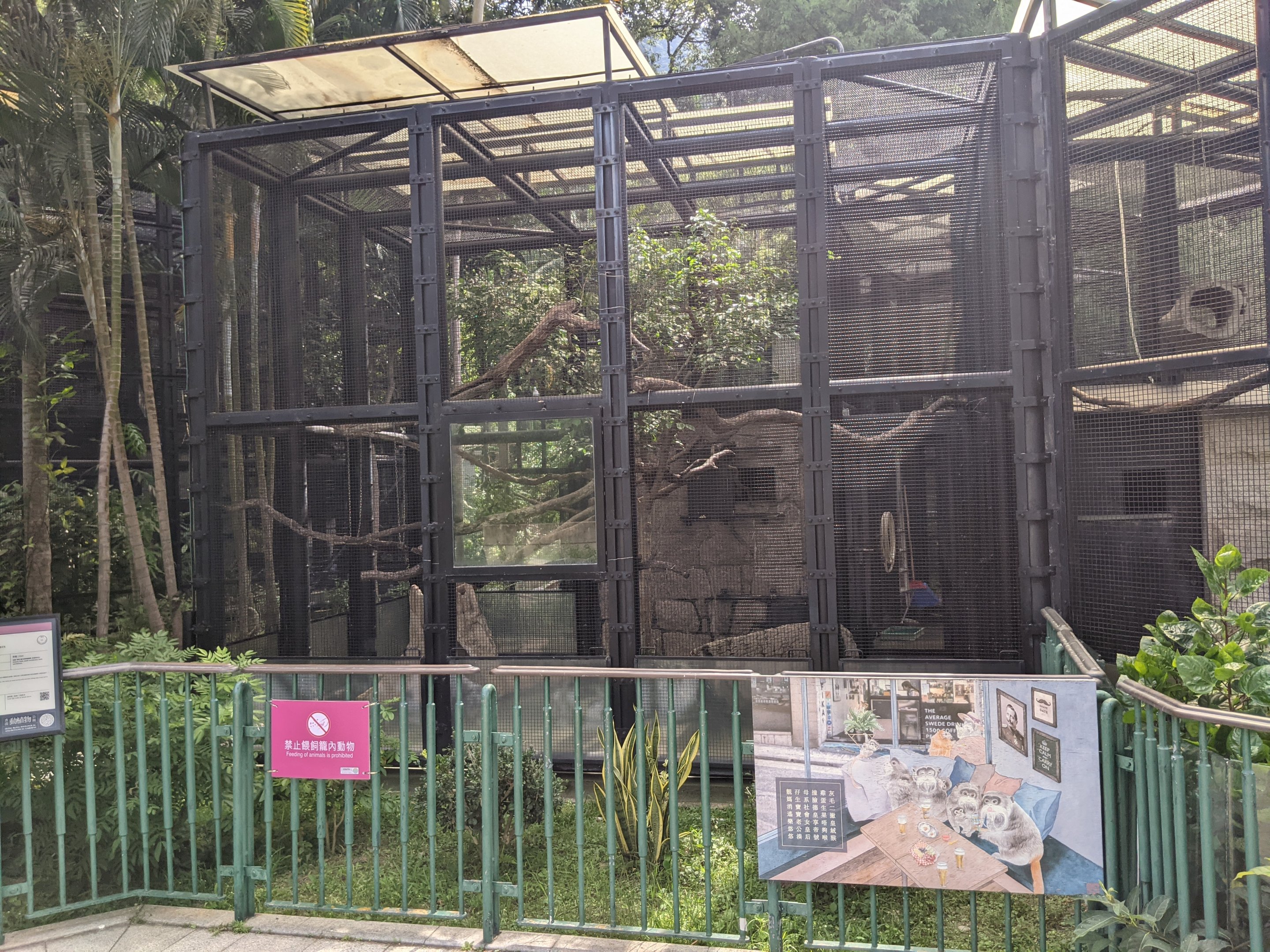 Cage for Emperor Tamarins (Saguinus imperator)