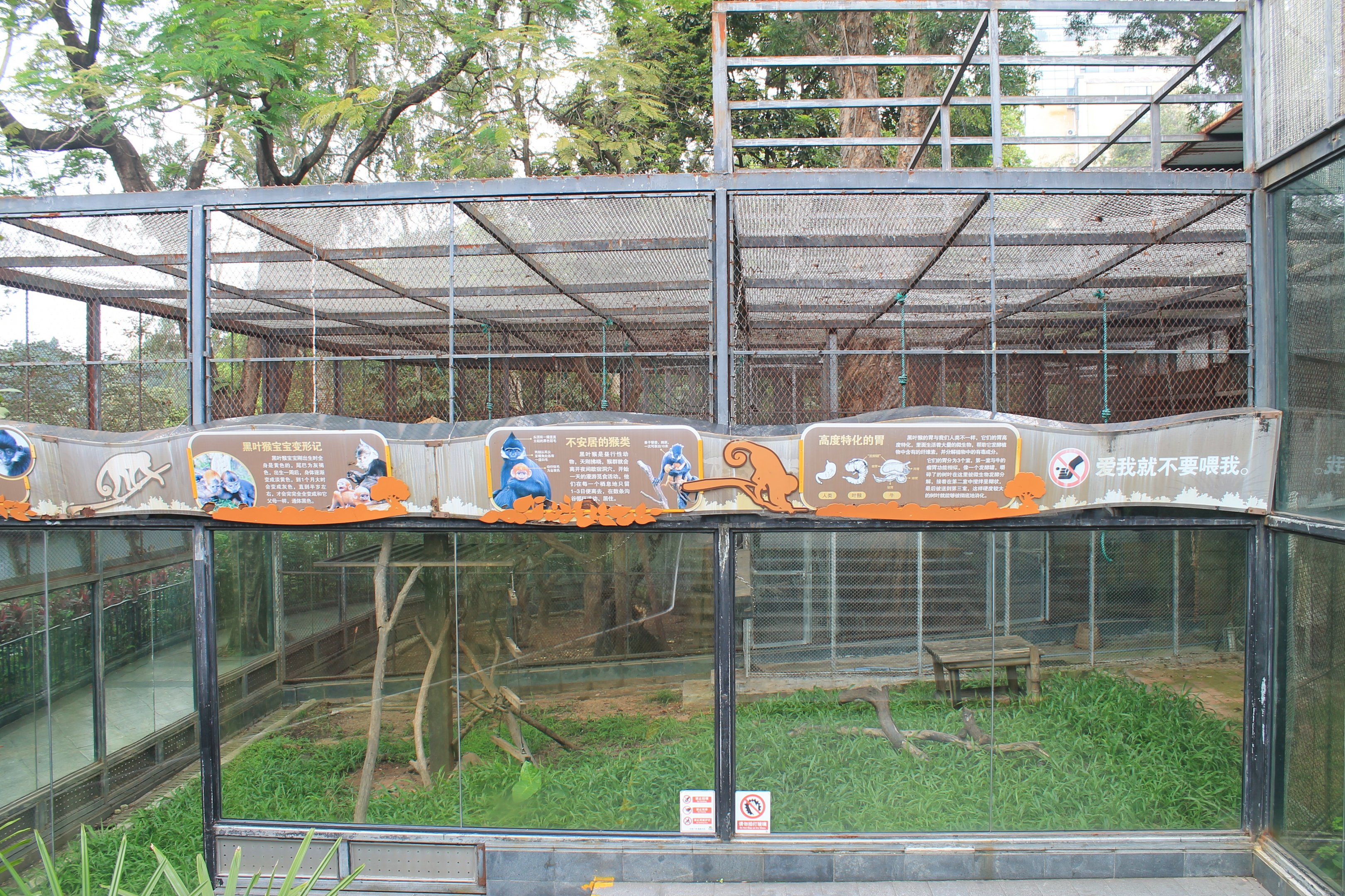 Cage for Francois' Langurs (Trachypithecus francoisi)