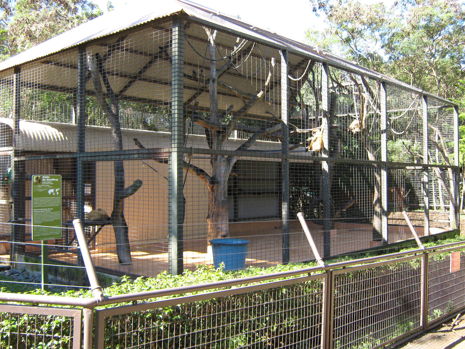 cage for Geoffroys spider monkeys