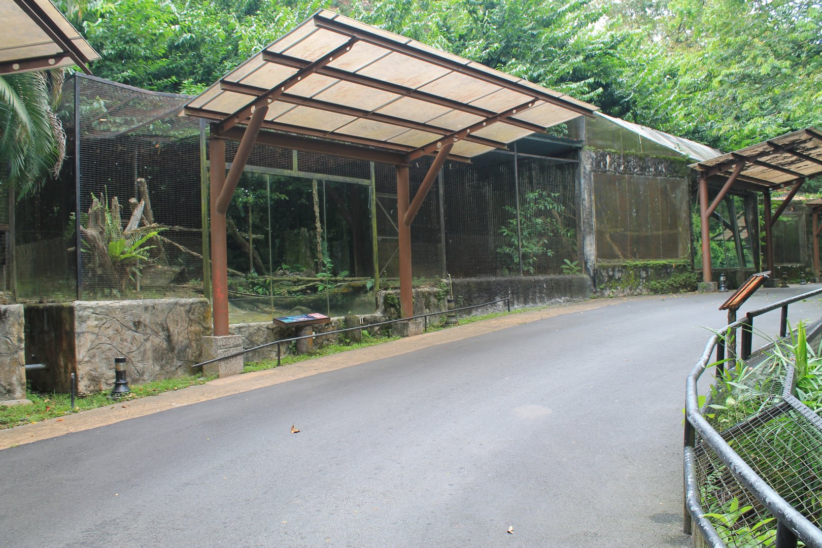 cage for Leopard Cat (Prionailurus bengalensis)