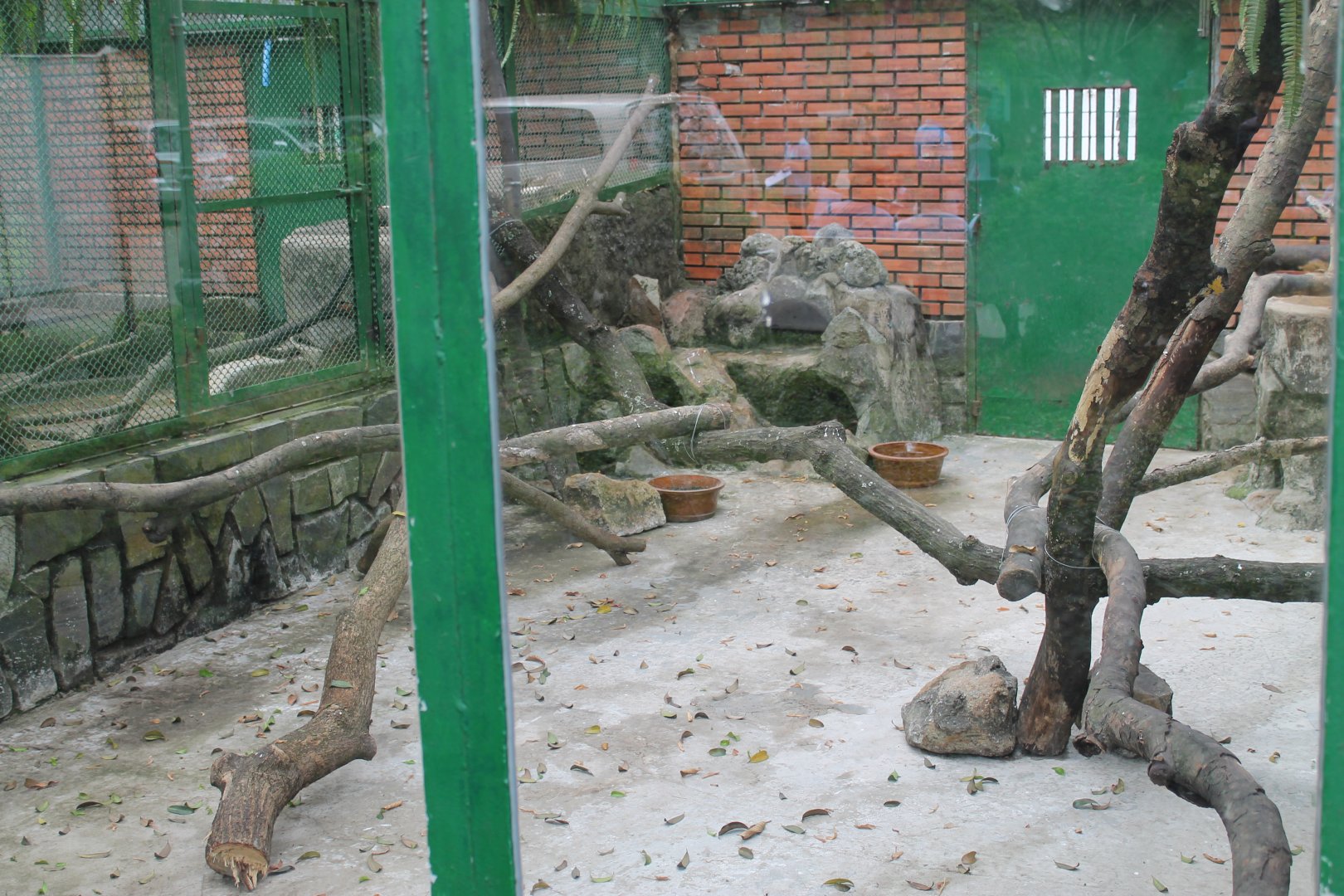 cage for Owston's Palm Civets