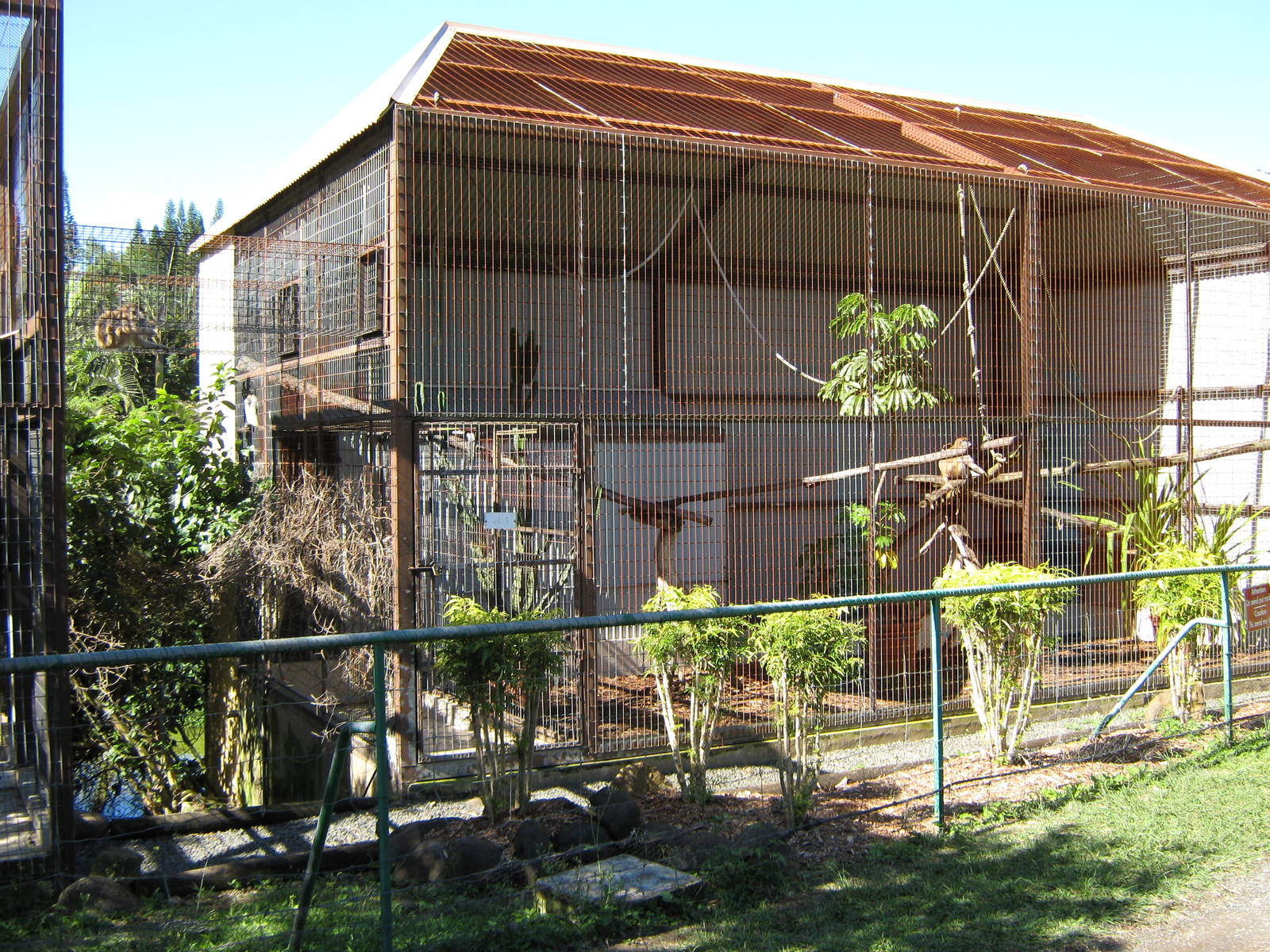 cage for patas monkeys