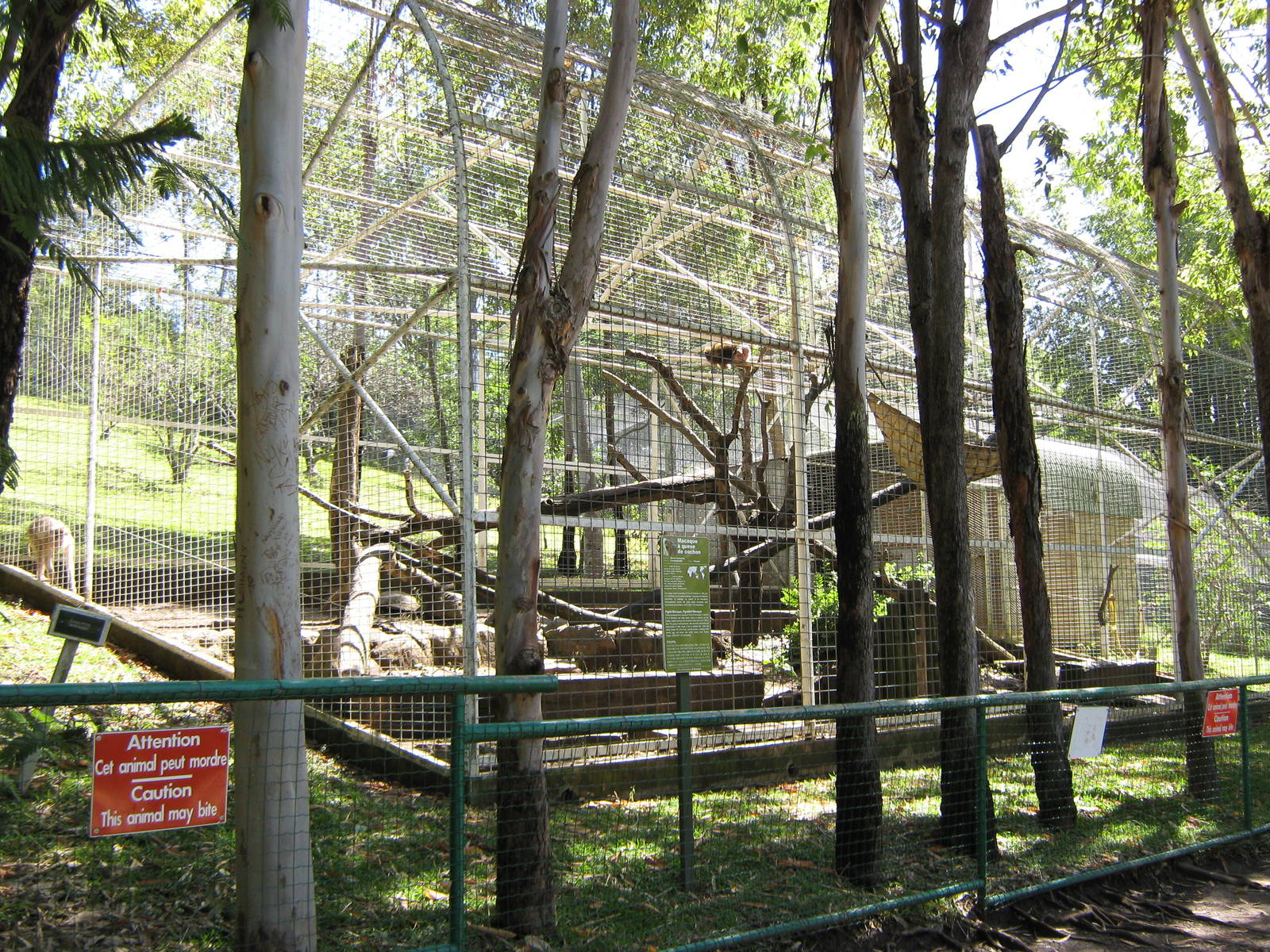 cage for pig-tailed macaques