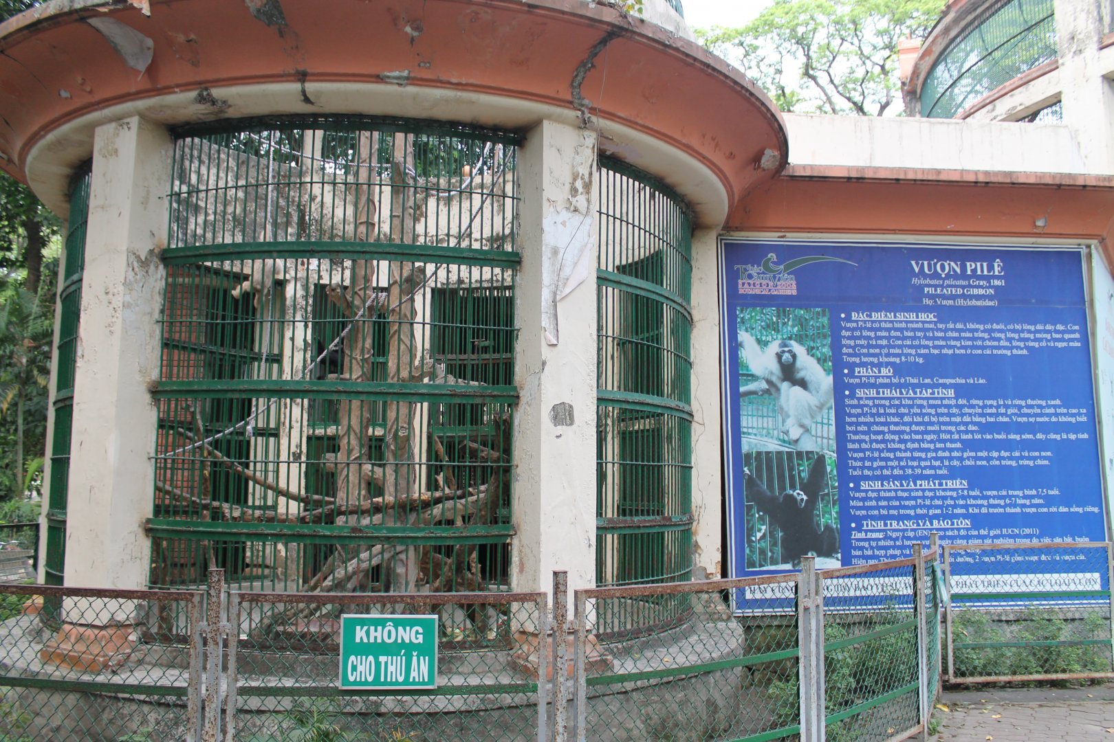 cage for Pileated Gibbons