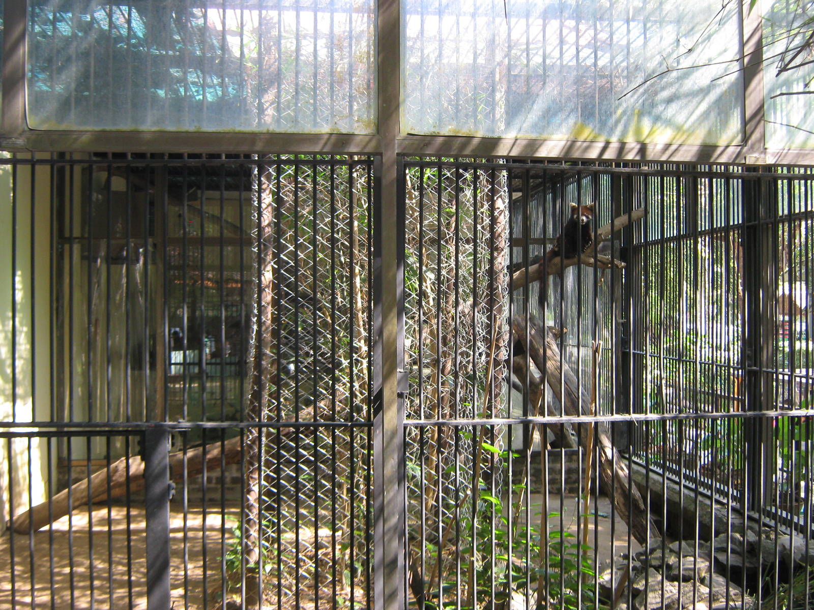 cage for Red Panda