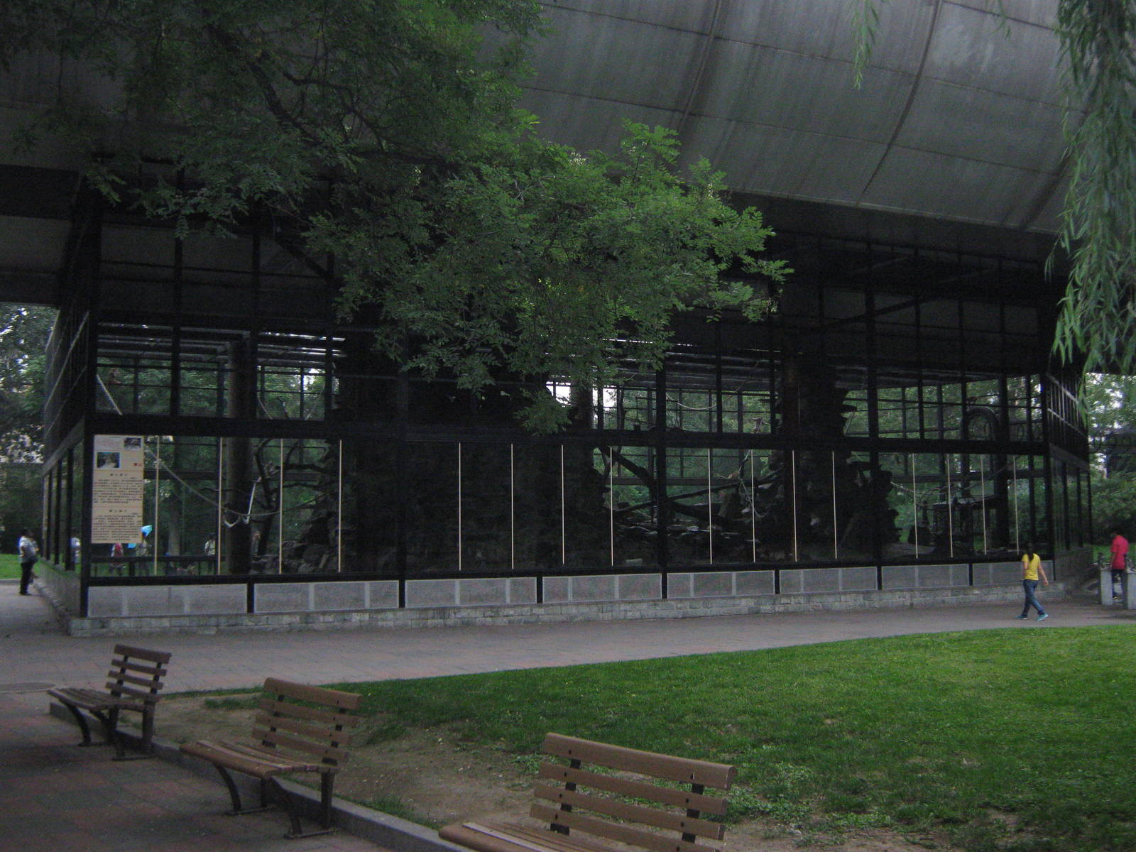 cage for rhesus macaques (Macaca mulatta)