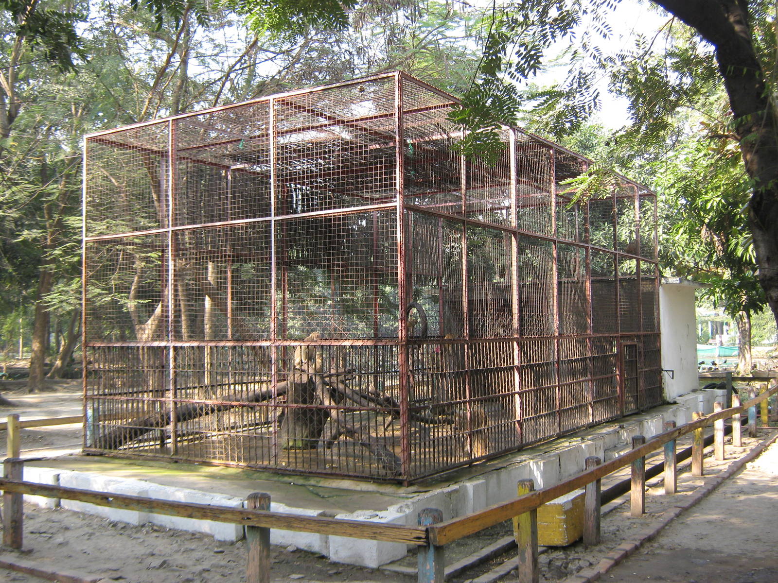 cage for Rhesus Macaques (Macaca mulatta)