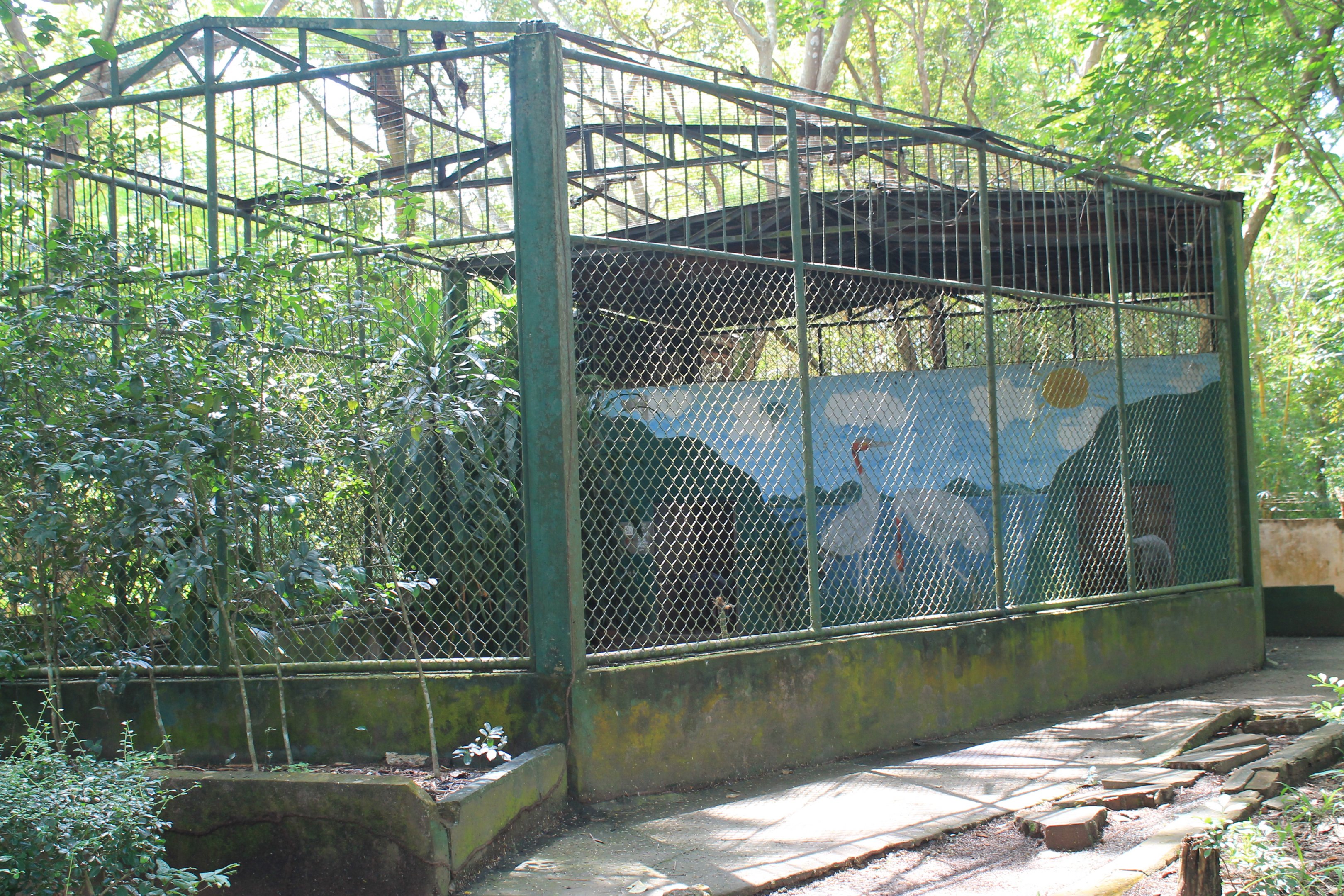 cage for Sarus Crane